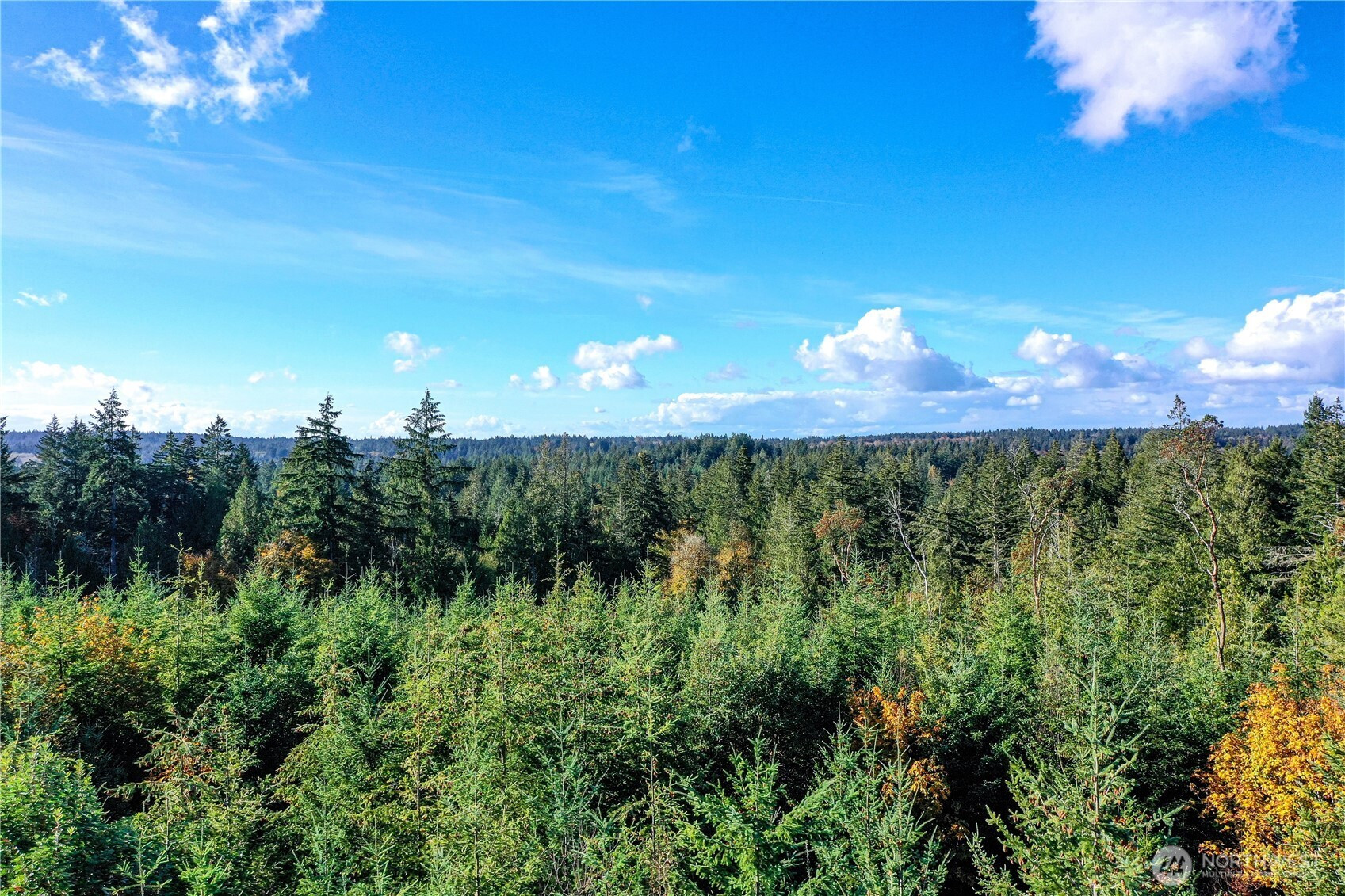 5 Cornwall Road SW, Lakebay, WA 98349