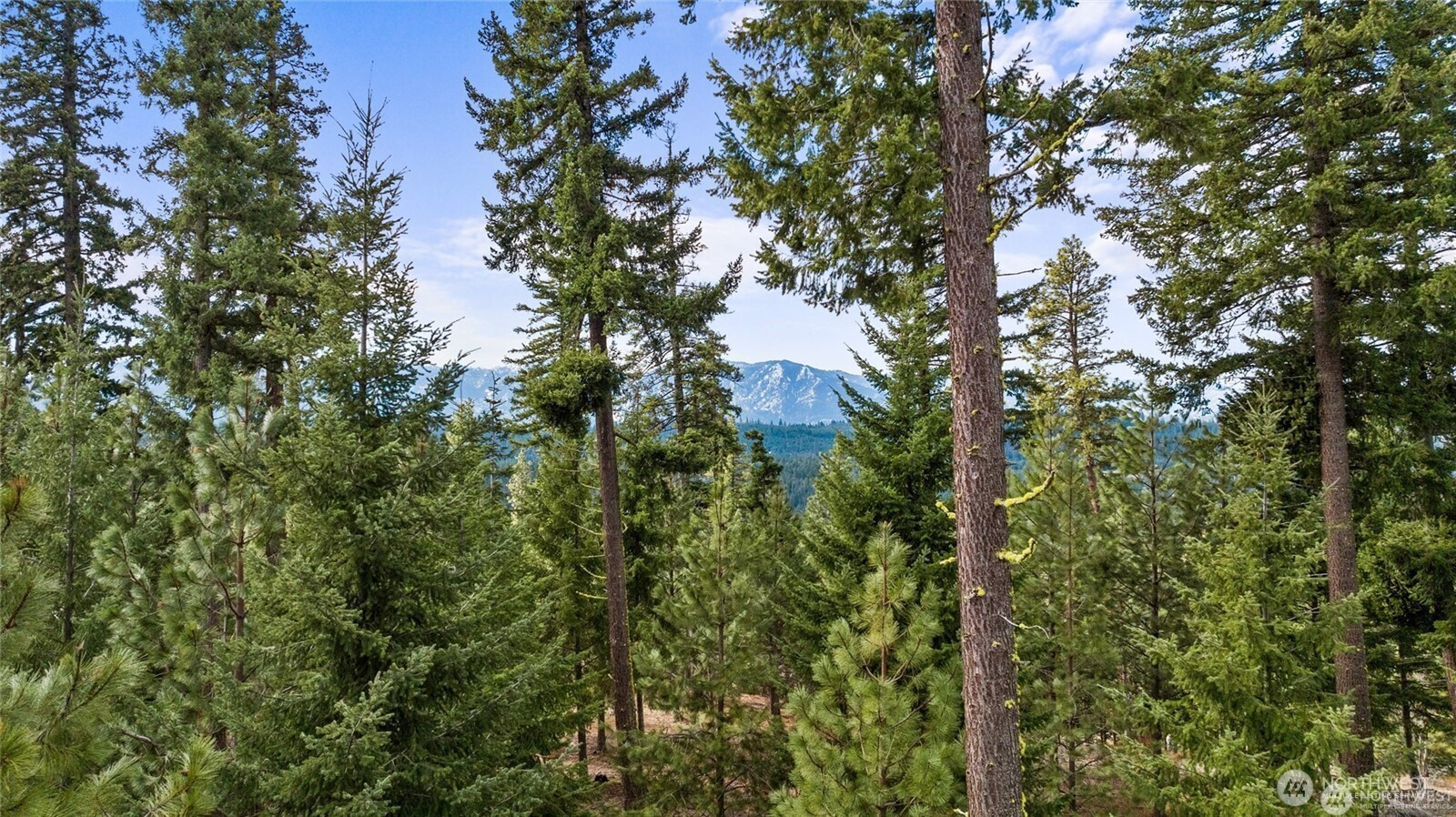 2 Red Sky Way, Cle Elum, WA 98922