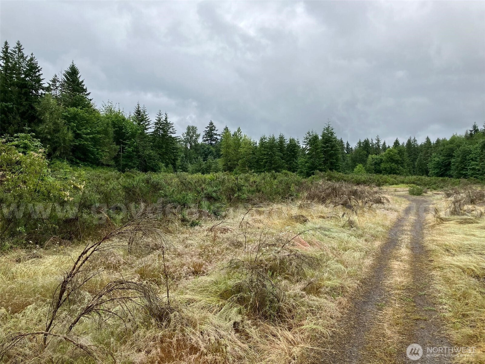 0 Us-101 And Penny Creek Road, Quilcene, WA 98376