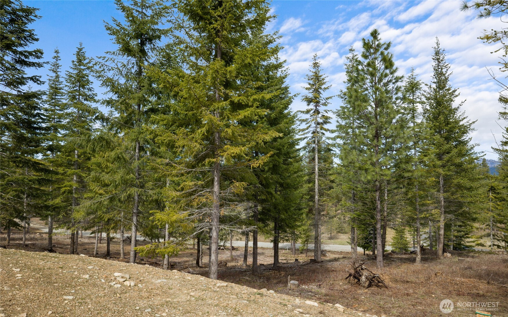 73 Liberty Bell Lane, Cle Elum, WA 98922