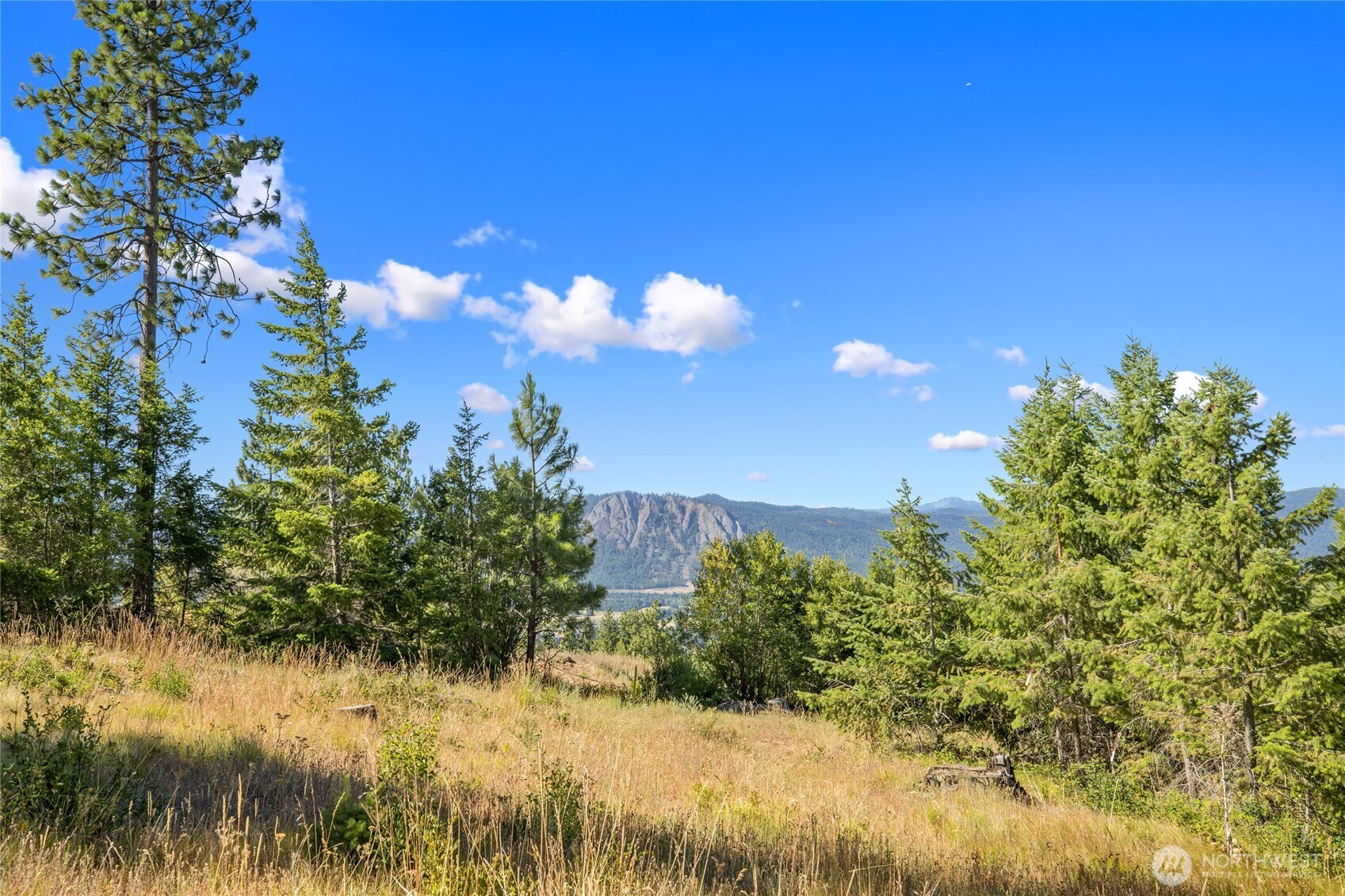 18 Forest Ridge Drive, Cle Elum, WA 98922
