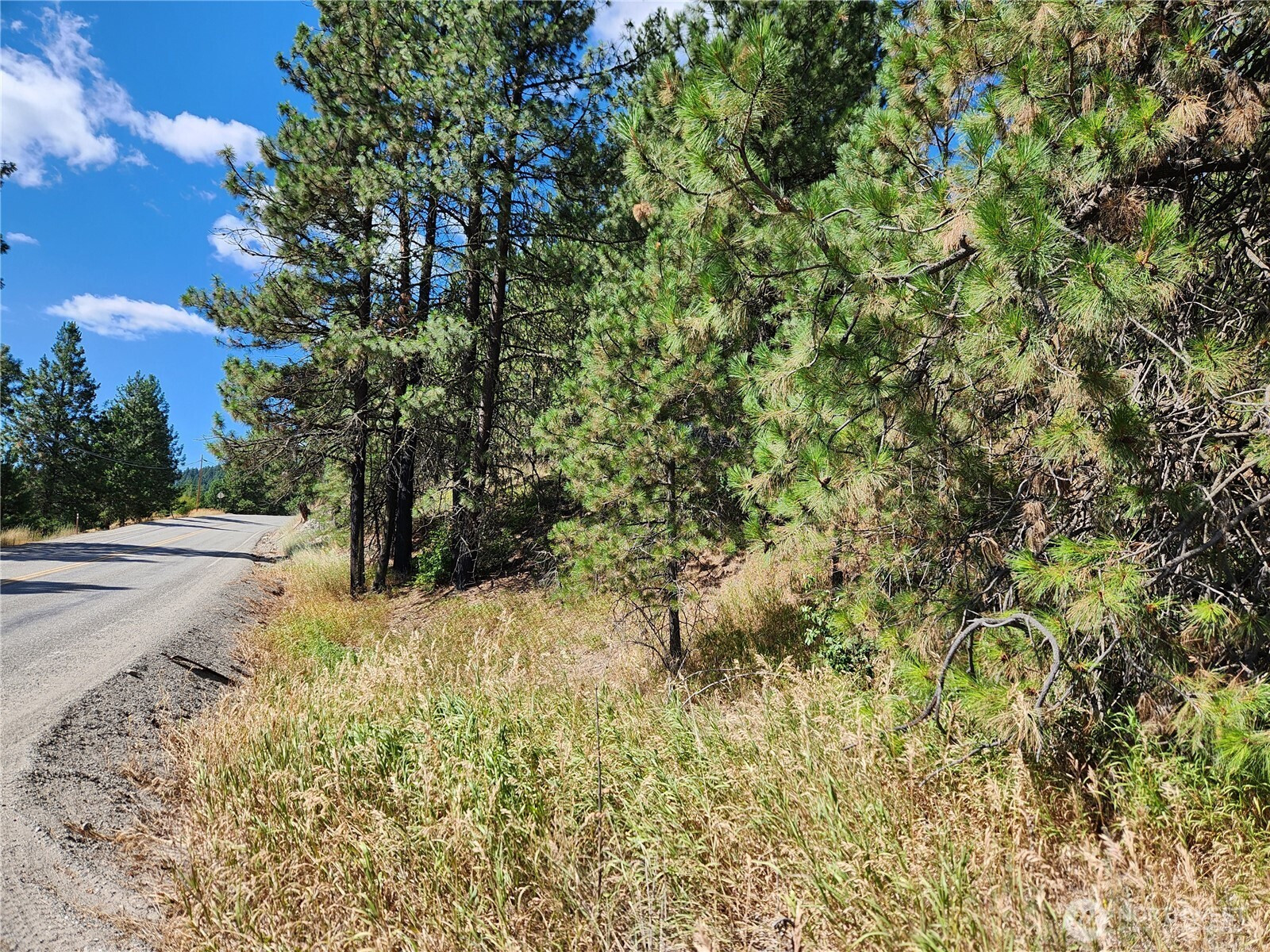 0 Lot 1 Klondike Road, Republic, WA 99166