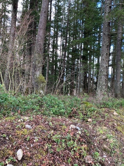 450 xx SE North Bend Way, North Bend, WA 98045