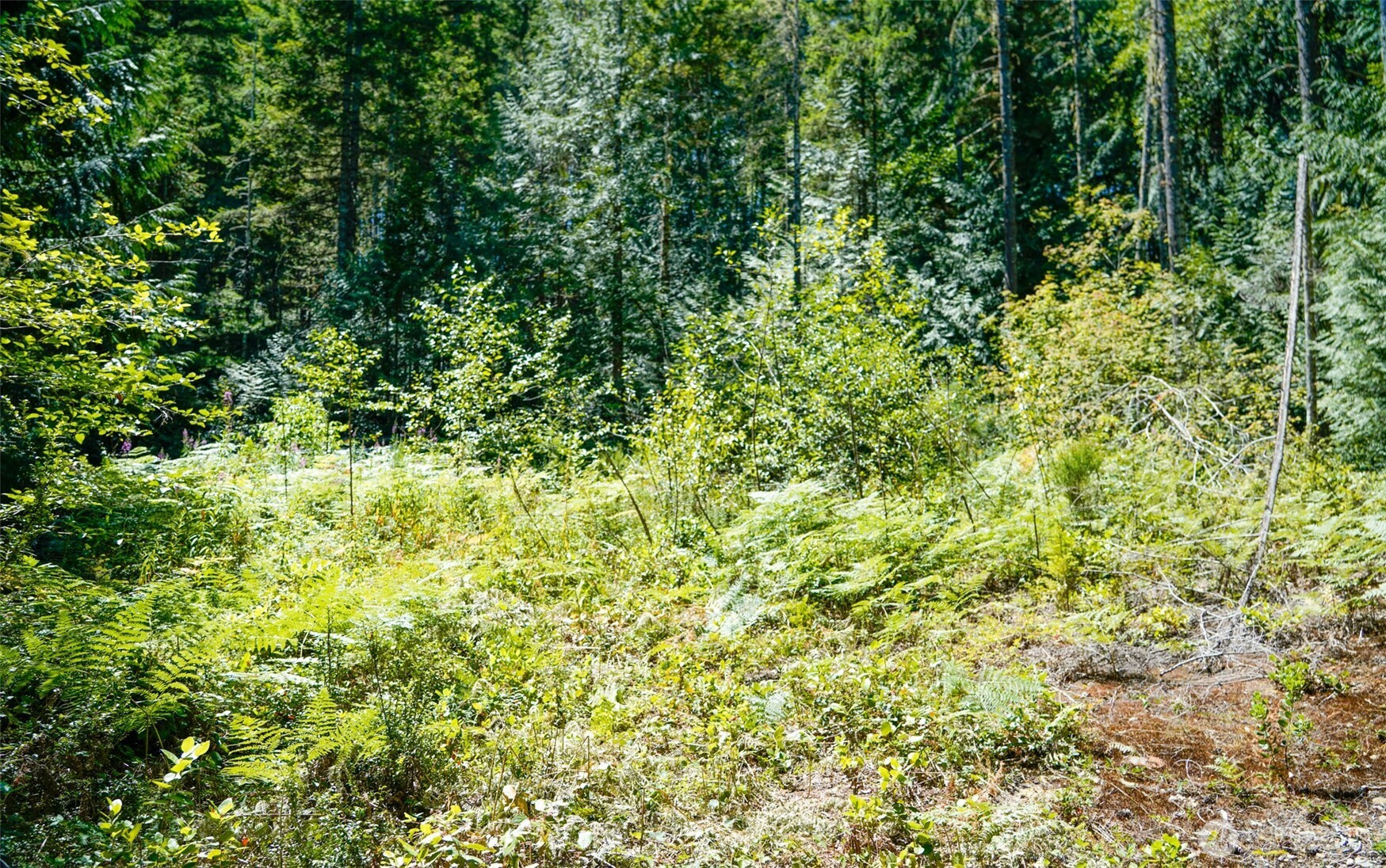 0 N Robinson Road, Hoodsport, WA 98548