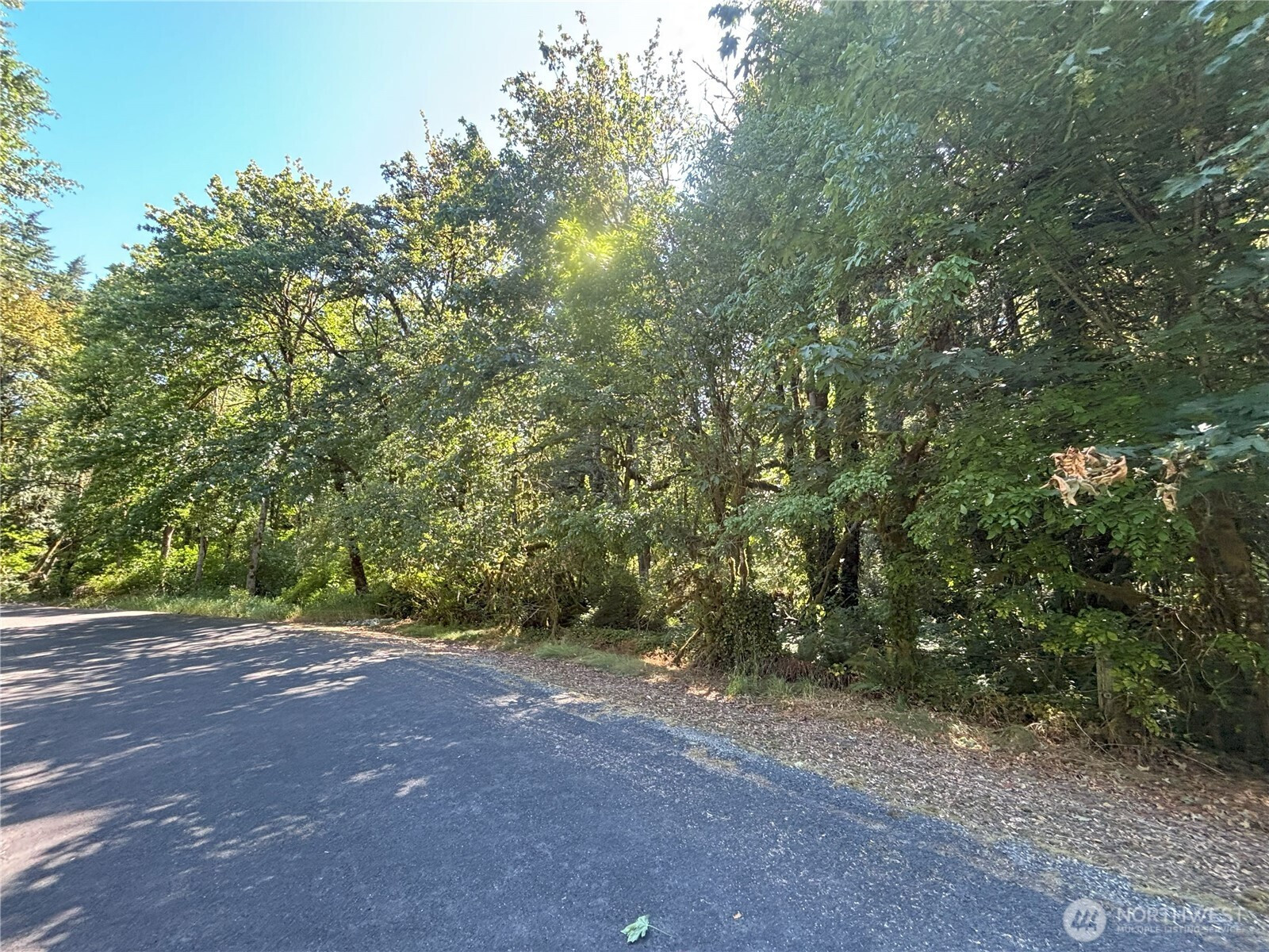 0 Hill Creek Road, Castle Rock, WA 98611