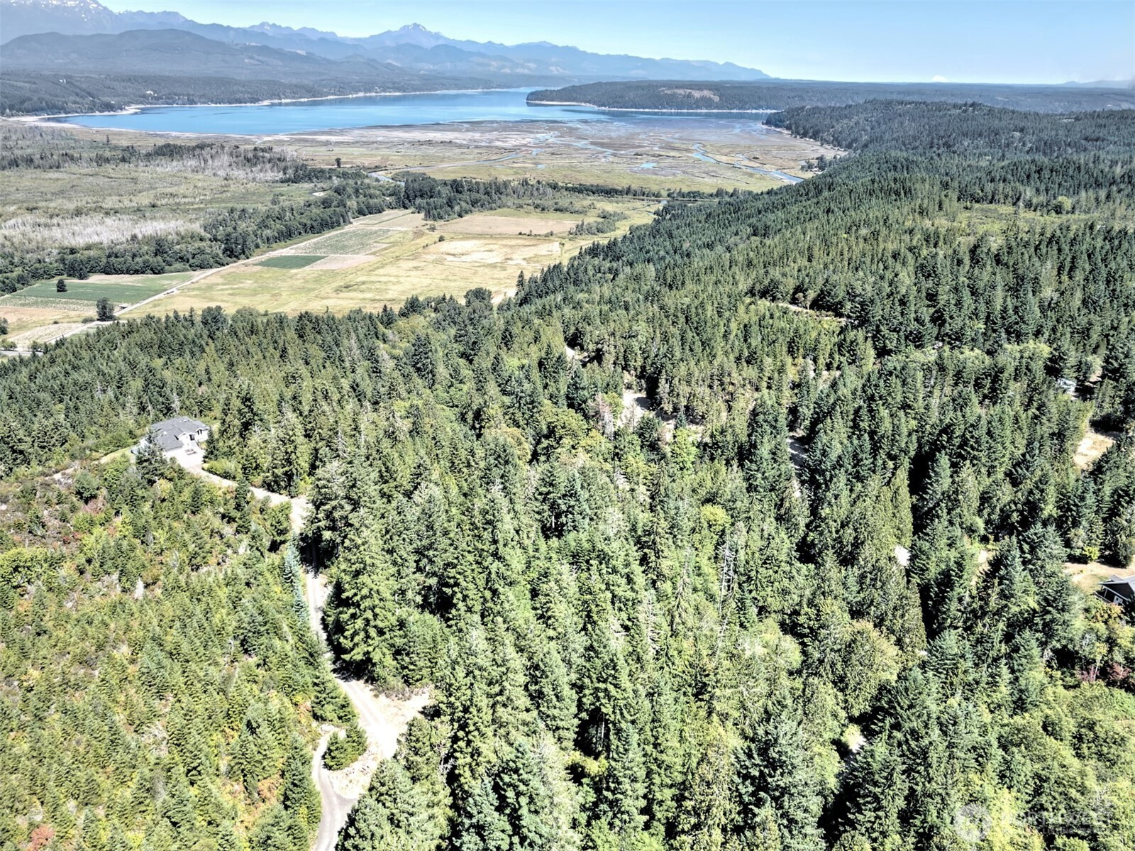 12 Acres Webb Hill Road, Union, WA 98592