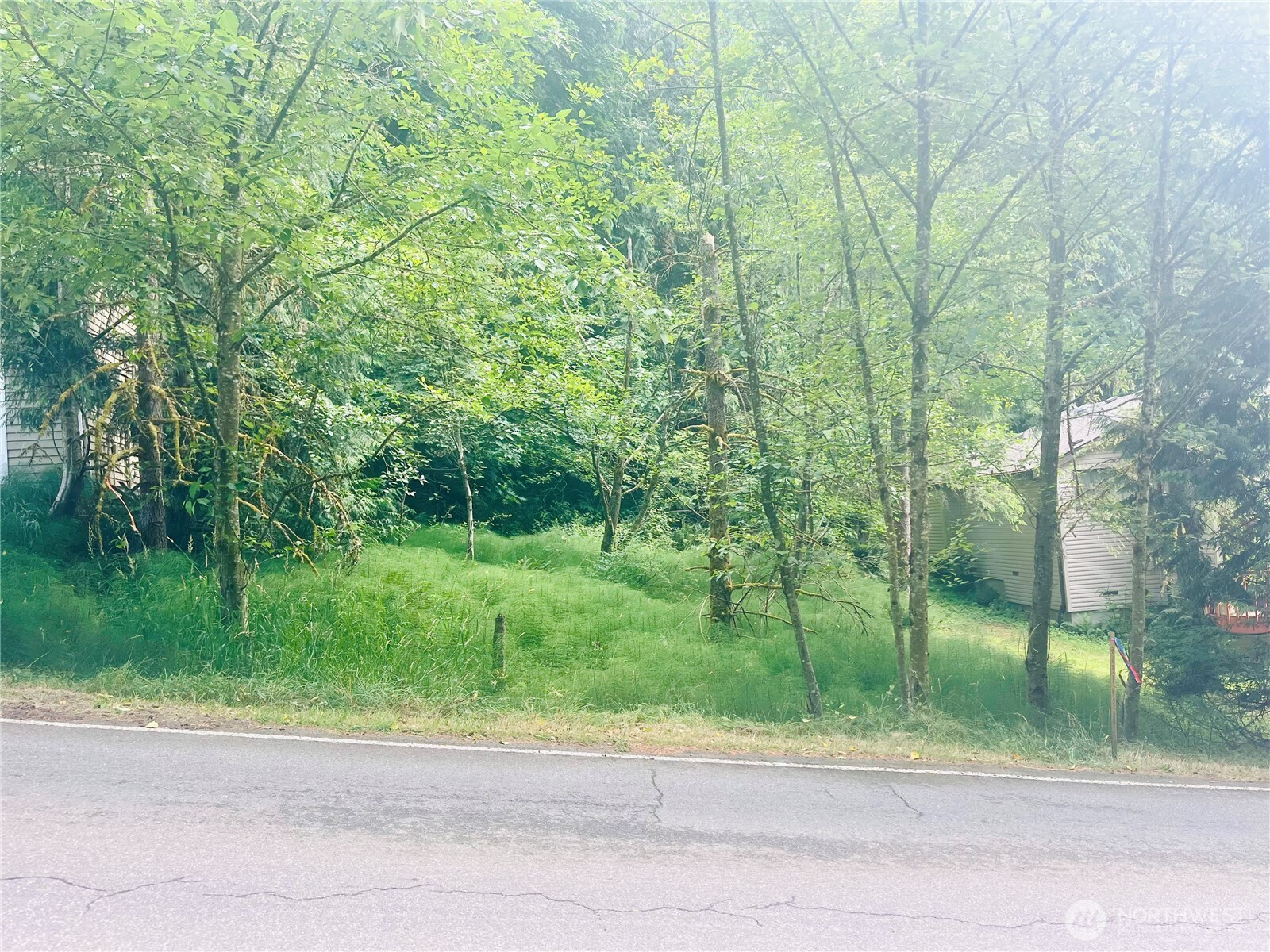 9 Marigold Drive, Bellingham, WA 98229