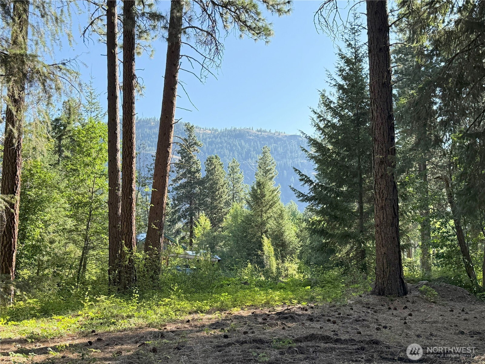 41 TBD Davelaar Drive, Mazama, WA 98833