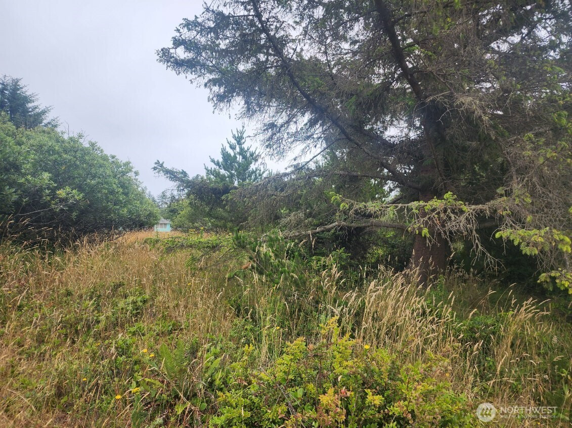 442 Canal Drive NE, Ocean Shores, WA 98569