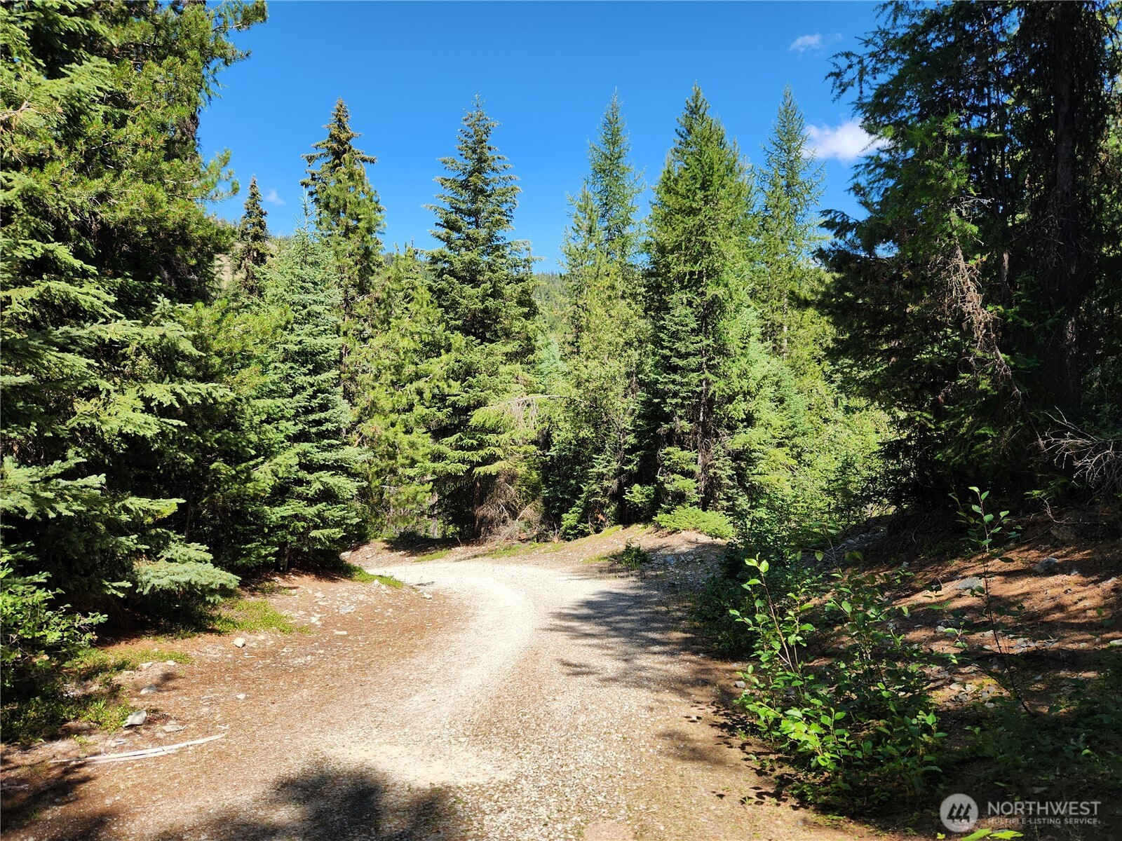 0 XX East Fork Cougar Creek Road, Wauconda, WA 98859
