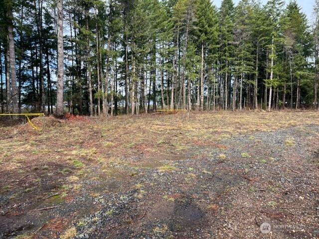 100 E El Fuego Dr, Shelton, WA 98584