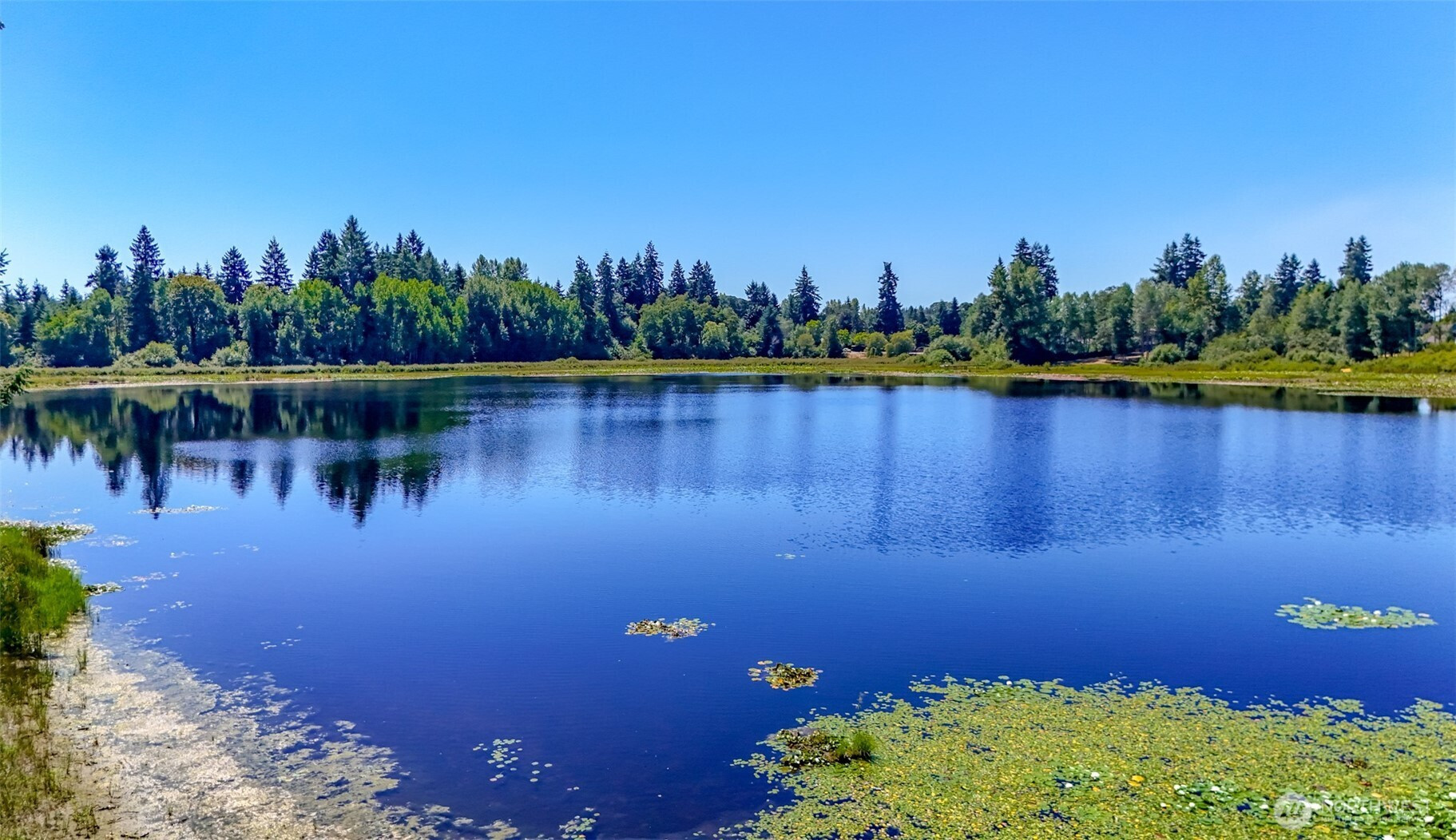 6045 Mullen Road SE, Lacey, WA 98503