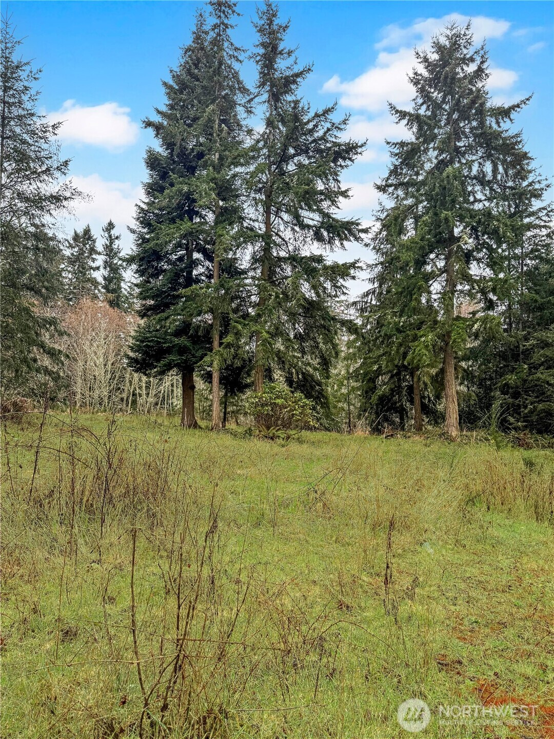 0 Prospect, Port Hadlock, WA 98368