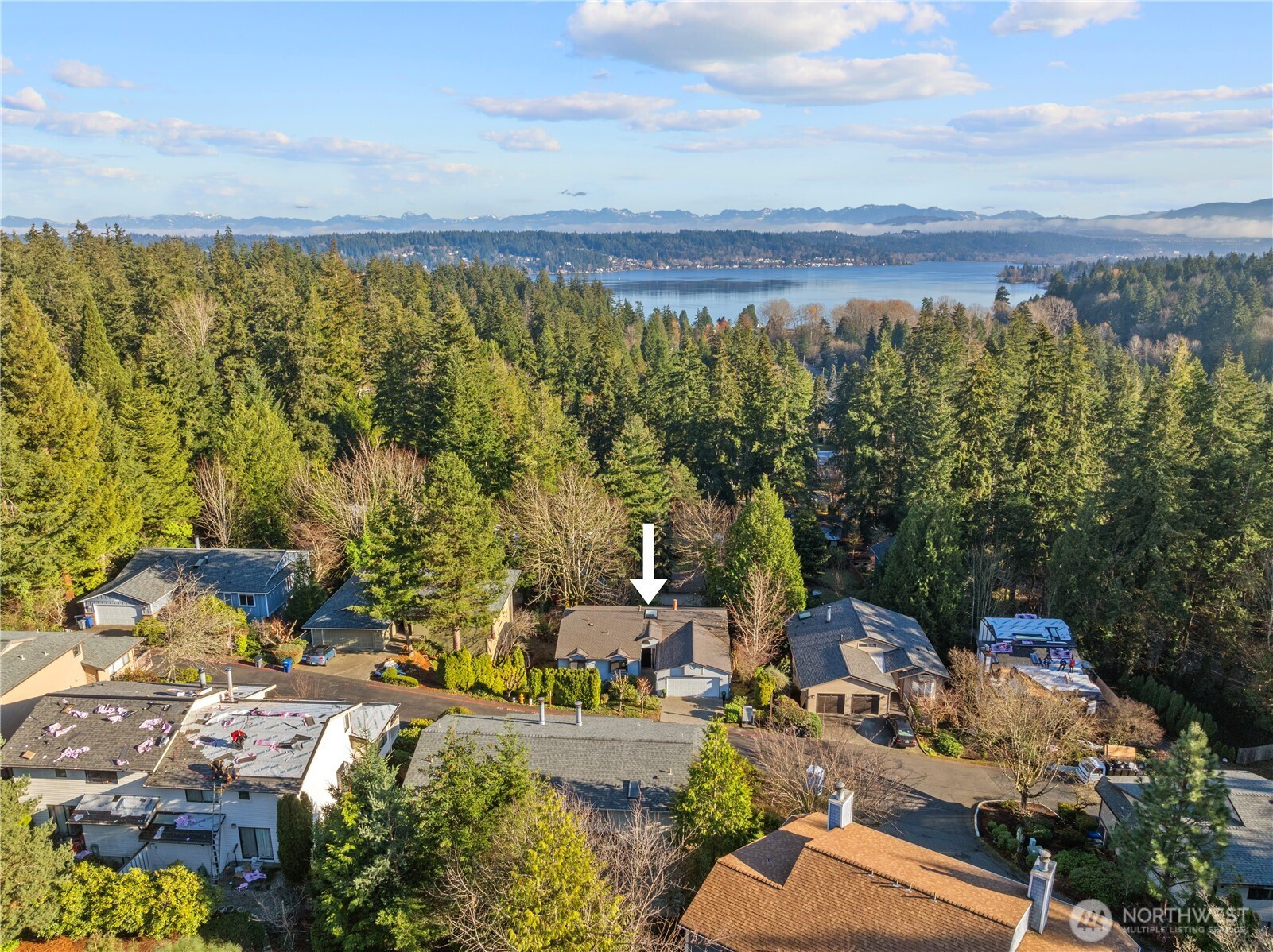 3412 161st Place SE, Bellevue, WA 98008