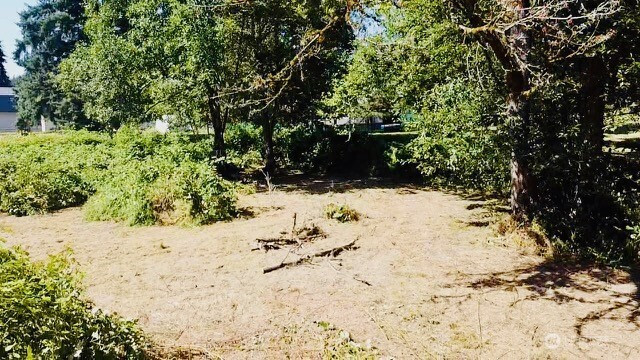 121 Church Street, Wilkeson, WA 98396