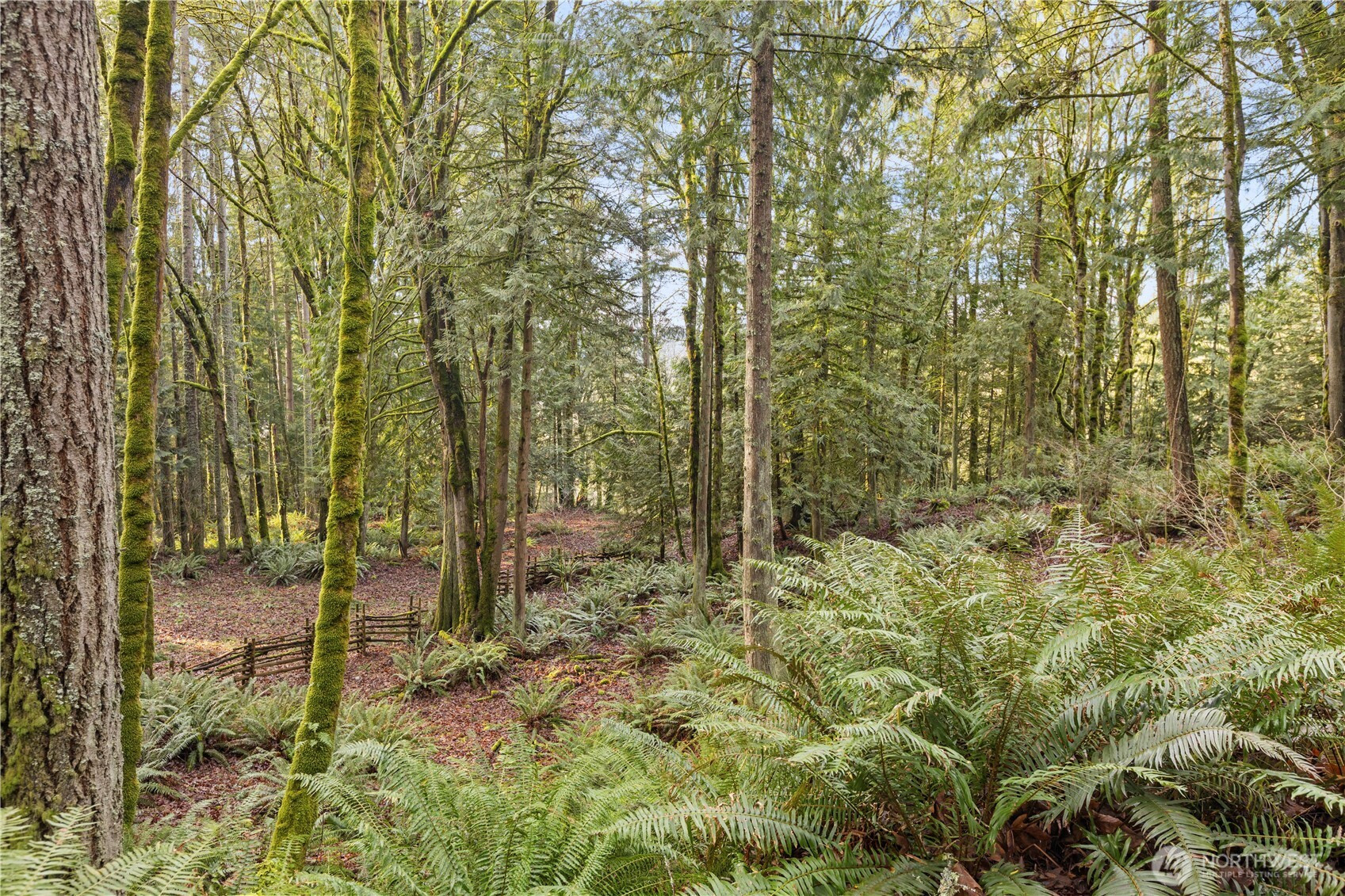 23827 SE Green Valley Road, Auburn, WA 98092