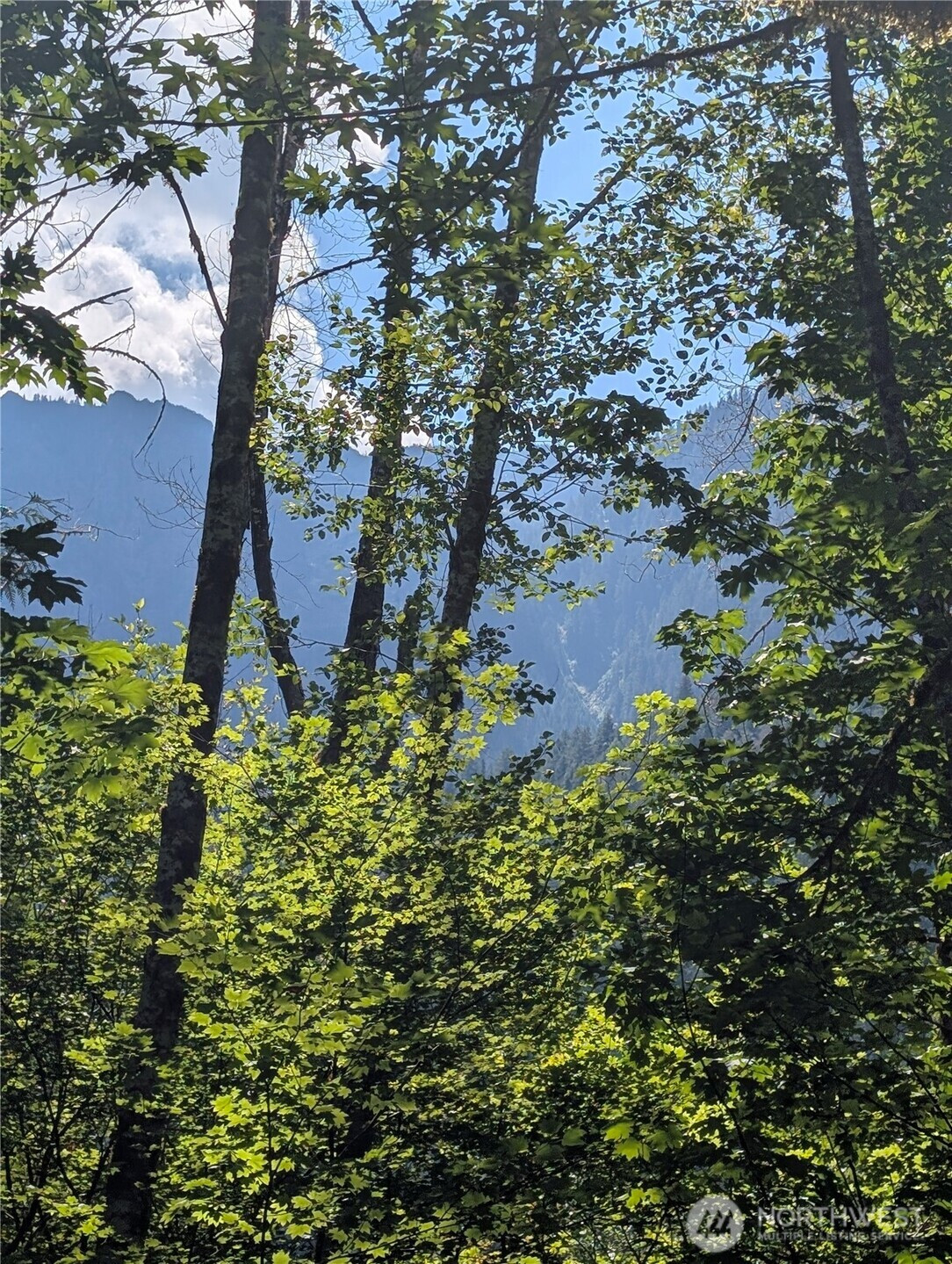0 Clear Creek Road, Darrington, WA 98241