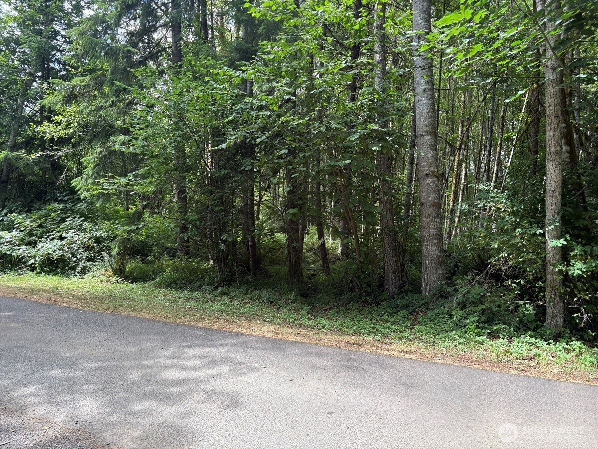 0 Harmony Lane, Mossyrock, WA 98564