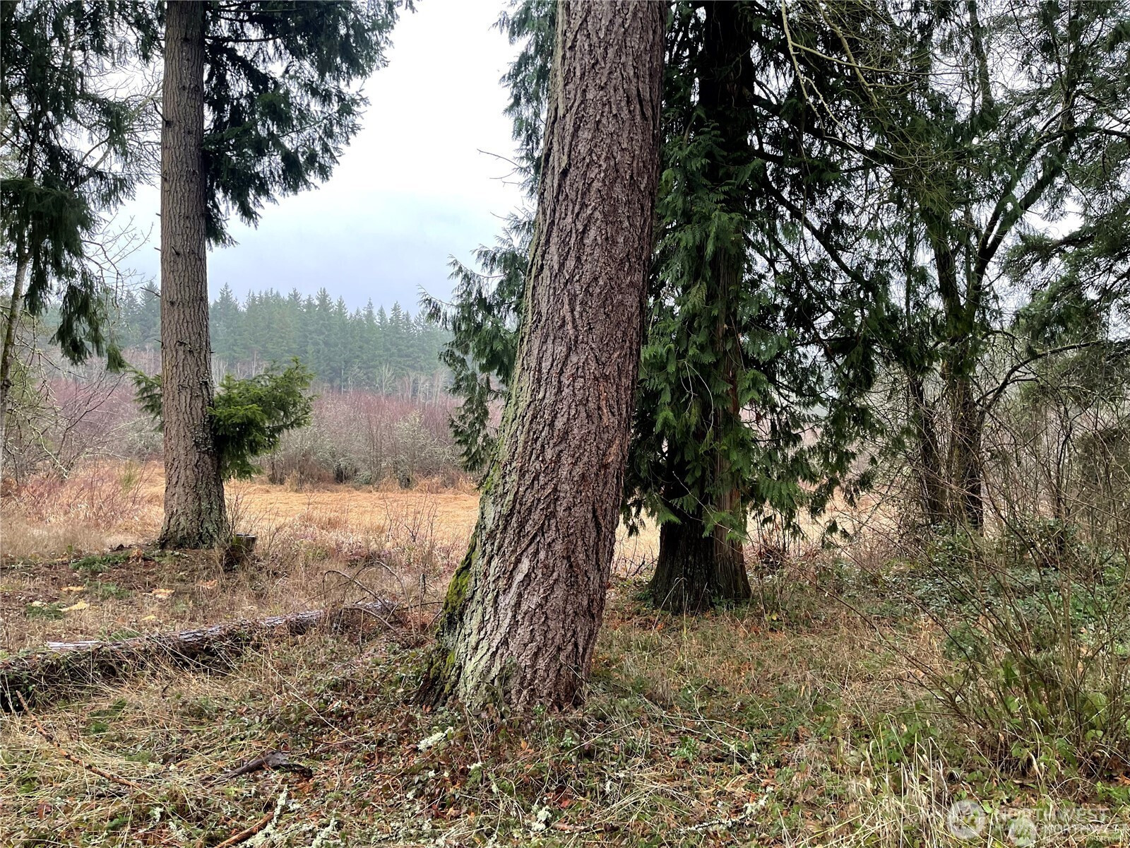 17616 Vine Lane NE, Yelm, WA 98597