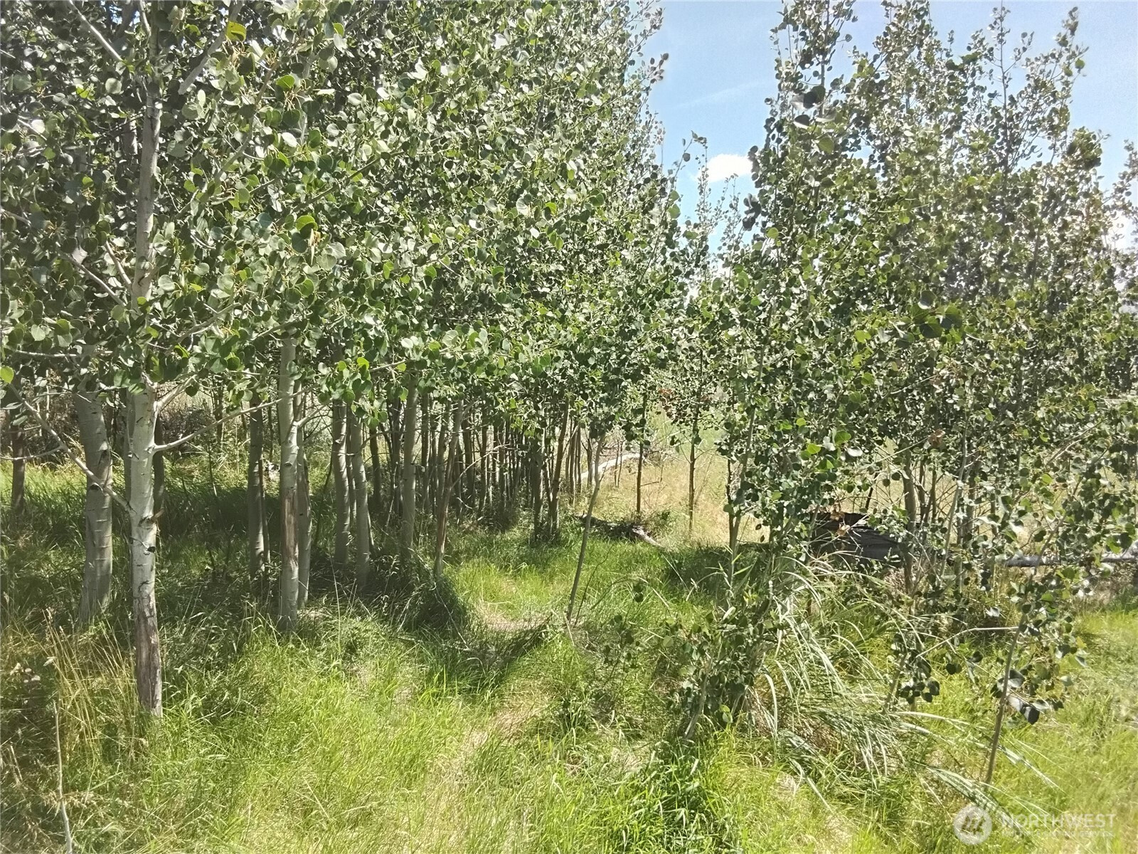 0 Painted Rock Road, Tonasket, WA 98855