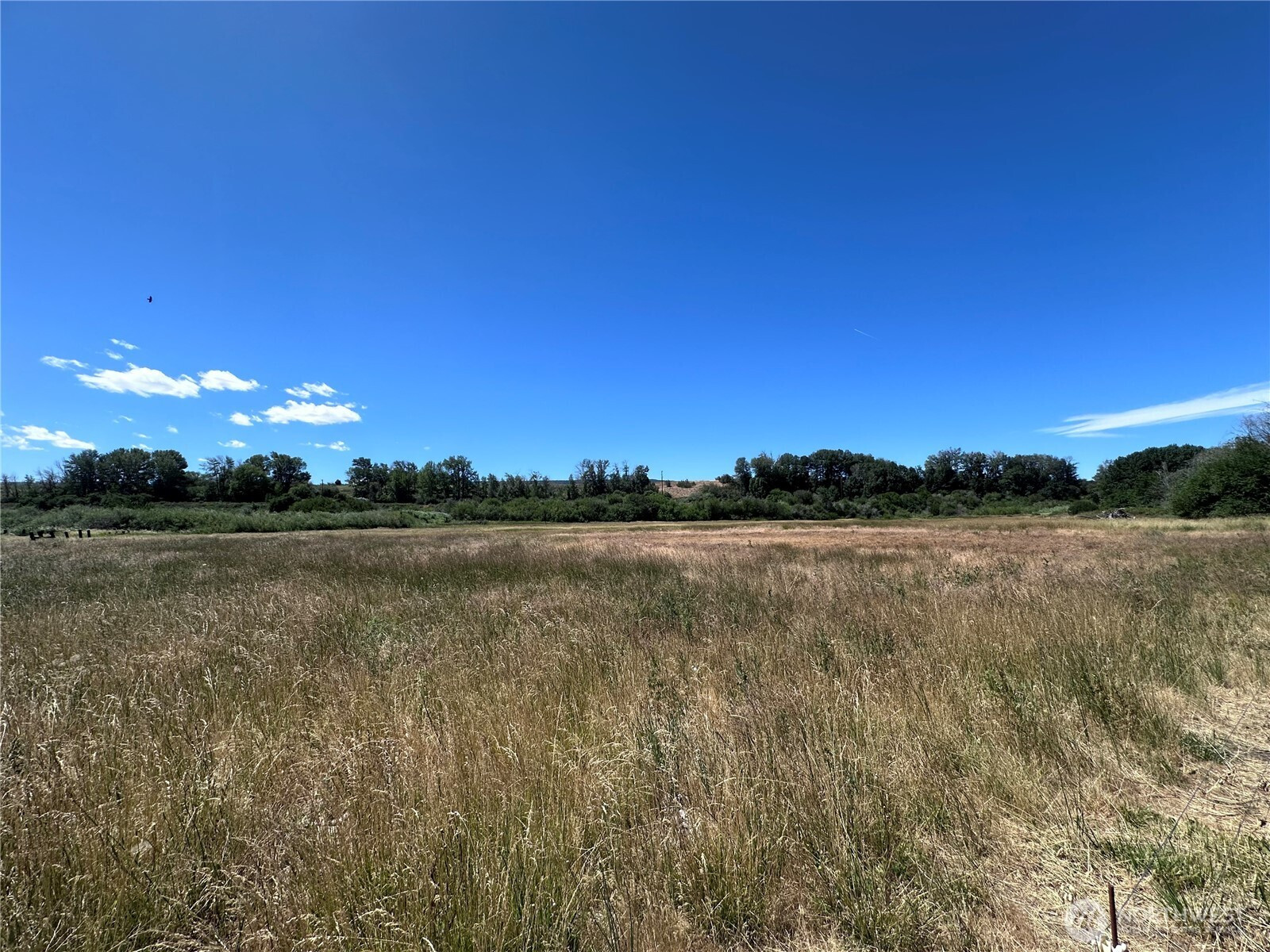 11485 XXX N Thorp Highway, Thorp, WA 98946