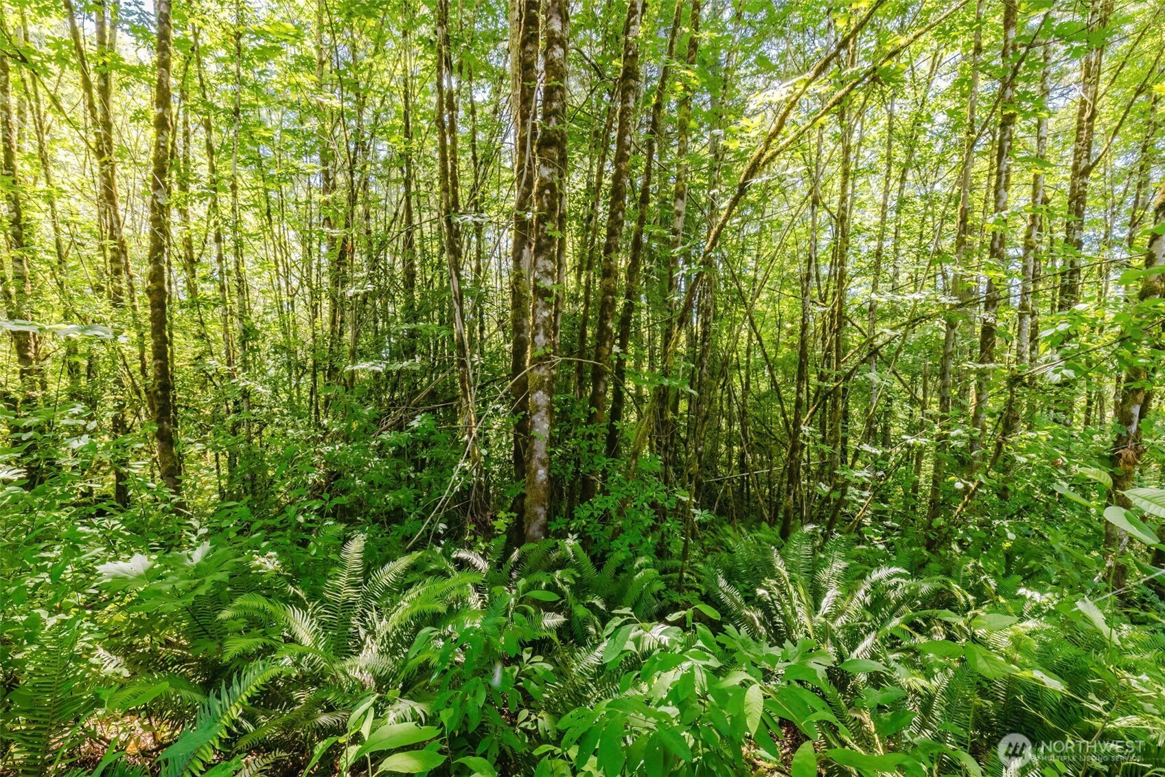 11 Lot Cassie Place NW, Poulsbo, WA 98370