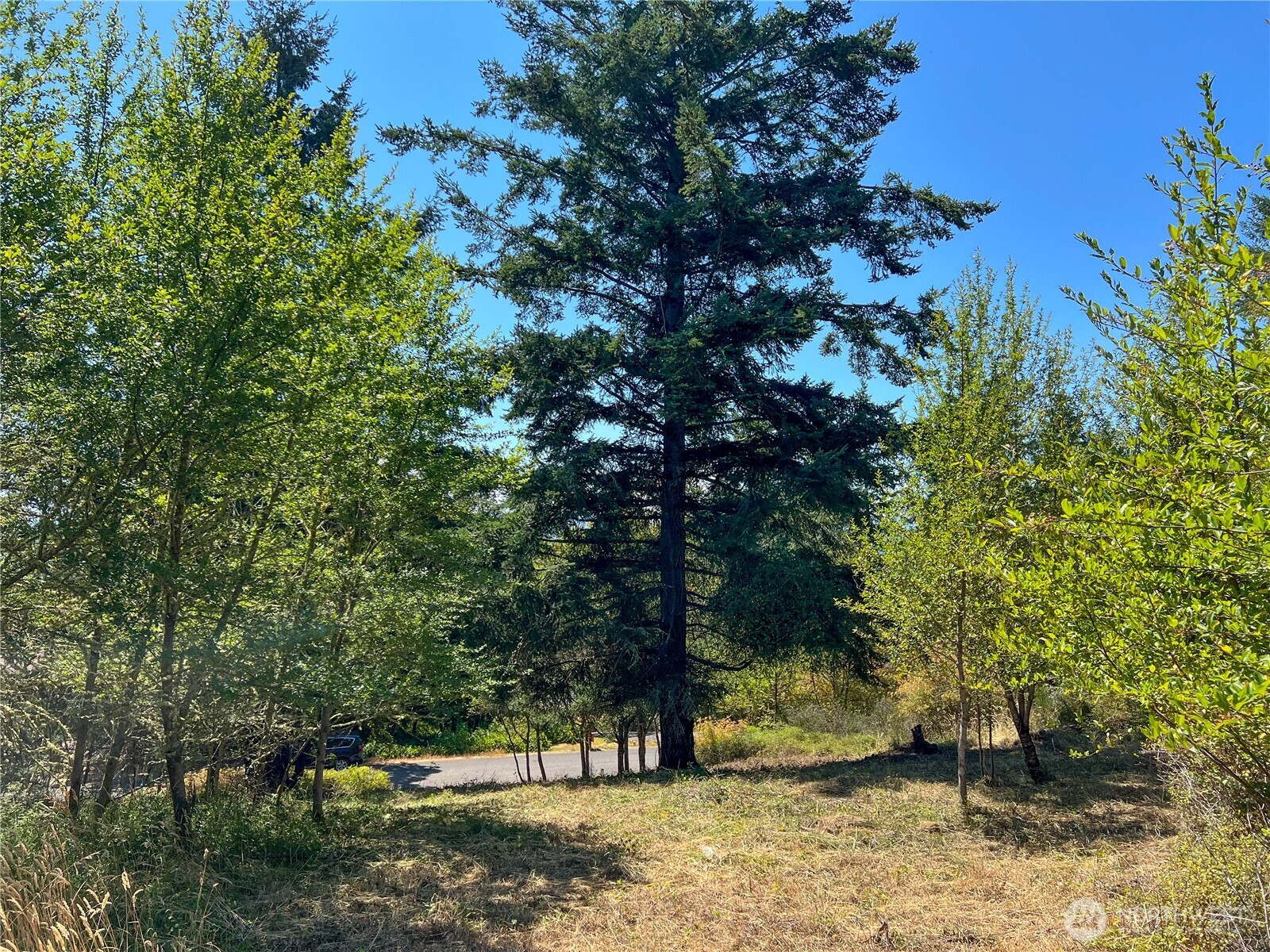 121 Combs Street, Port Townsend, WA 98368