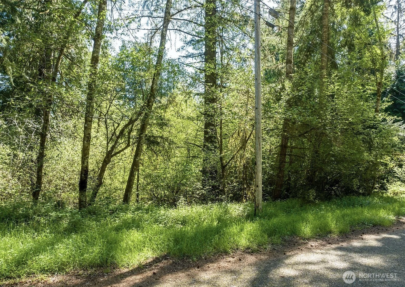 10515 Edgewood Drive, Anderson Island, WA 98303
