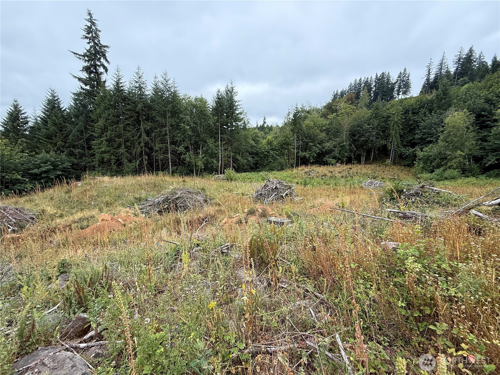 191 Northridge, Longview, WA 98632