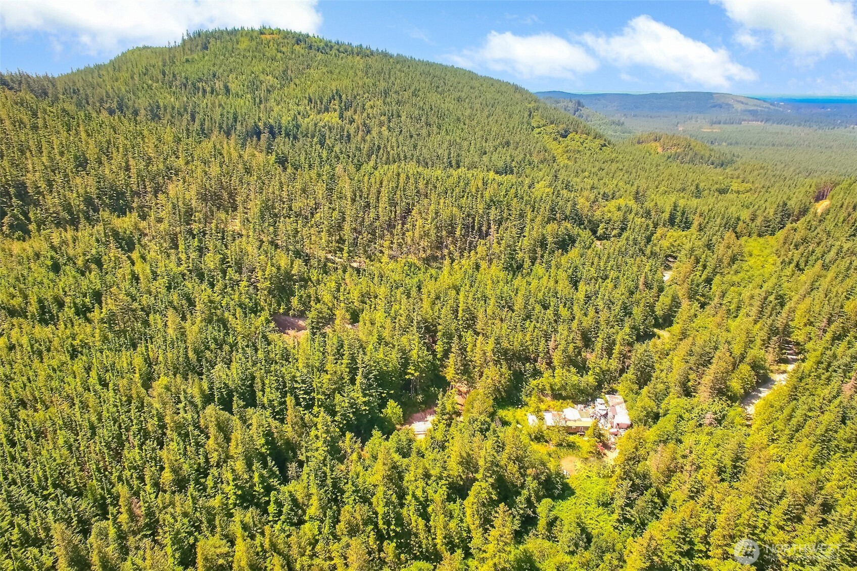 32750 343rd Ave SE, Ravensdale, WA 98051