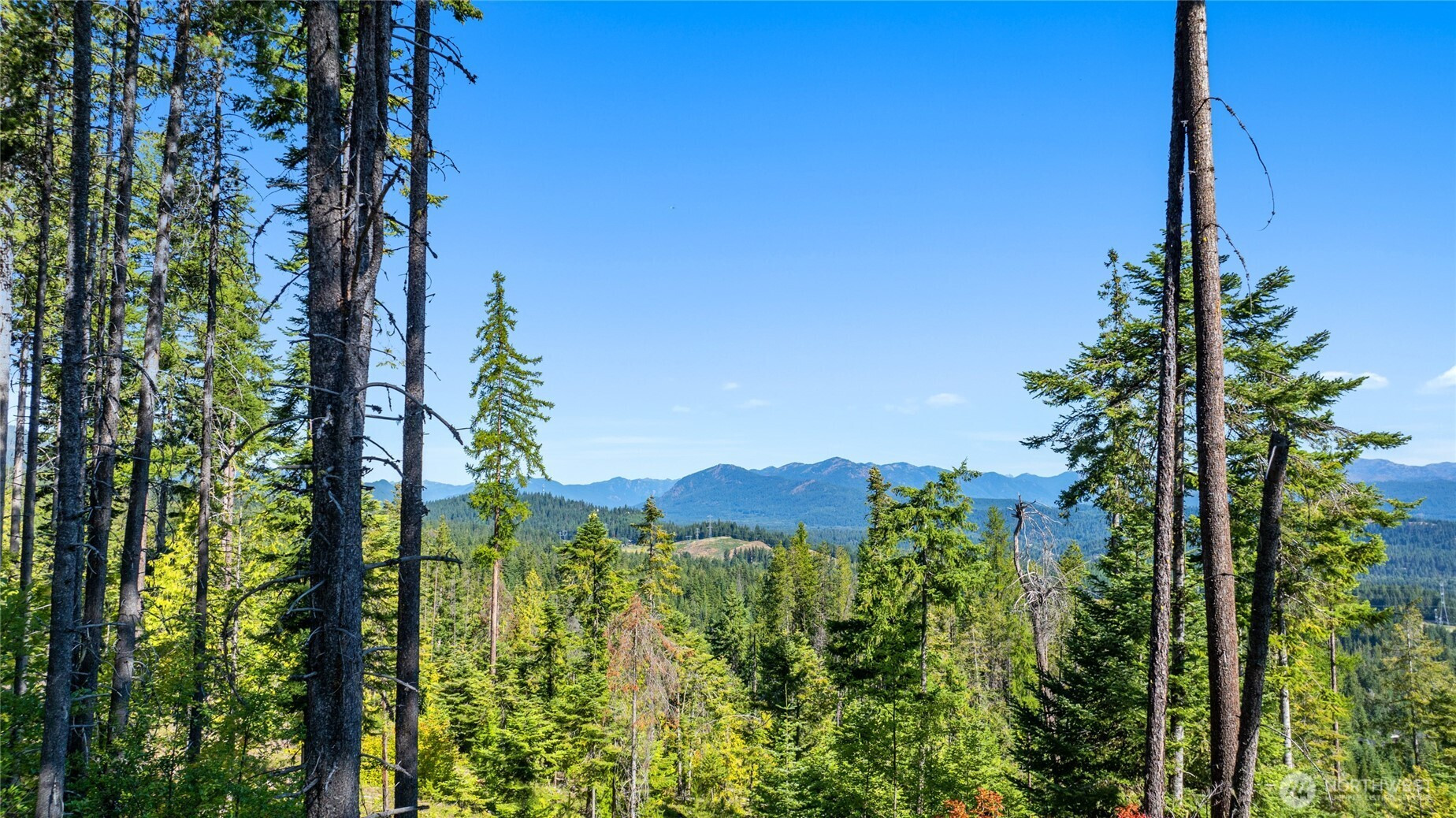 991 Trailside Drive, Cle Elum, WA 98922