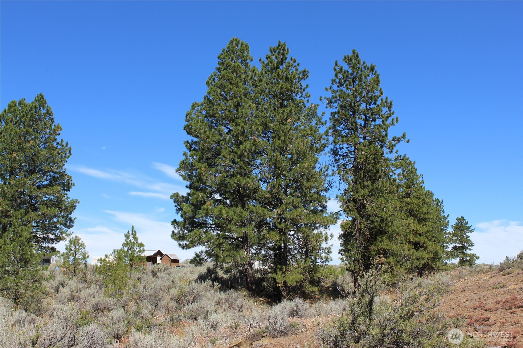202 Falcon Ridge Road, East Wenatchee, WA 98802