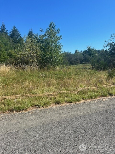 306 Garden Hill Rd E, Elma, WA 98541