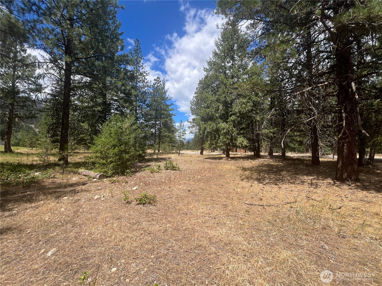 4 Mazama Meadows Lane, Mazama, WA 98833