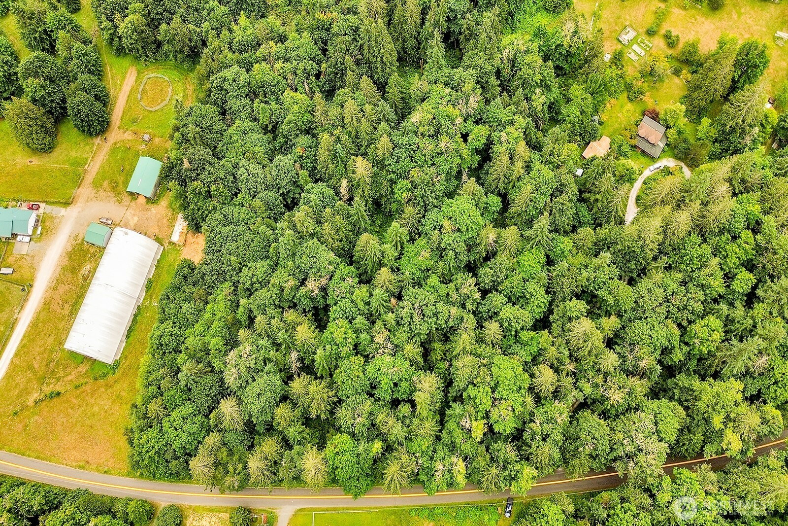 0 Reese Hill Road, Sumas, WA 98295