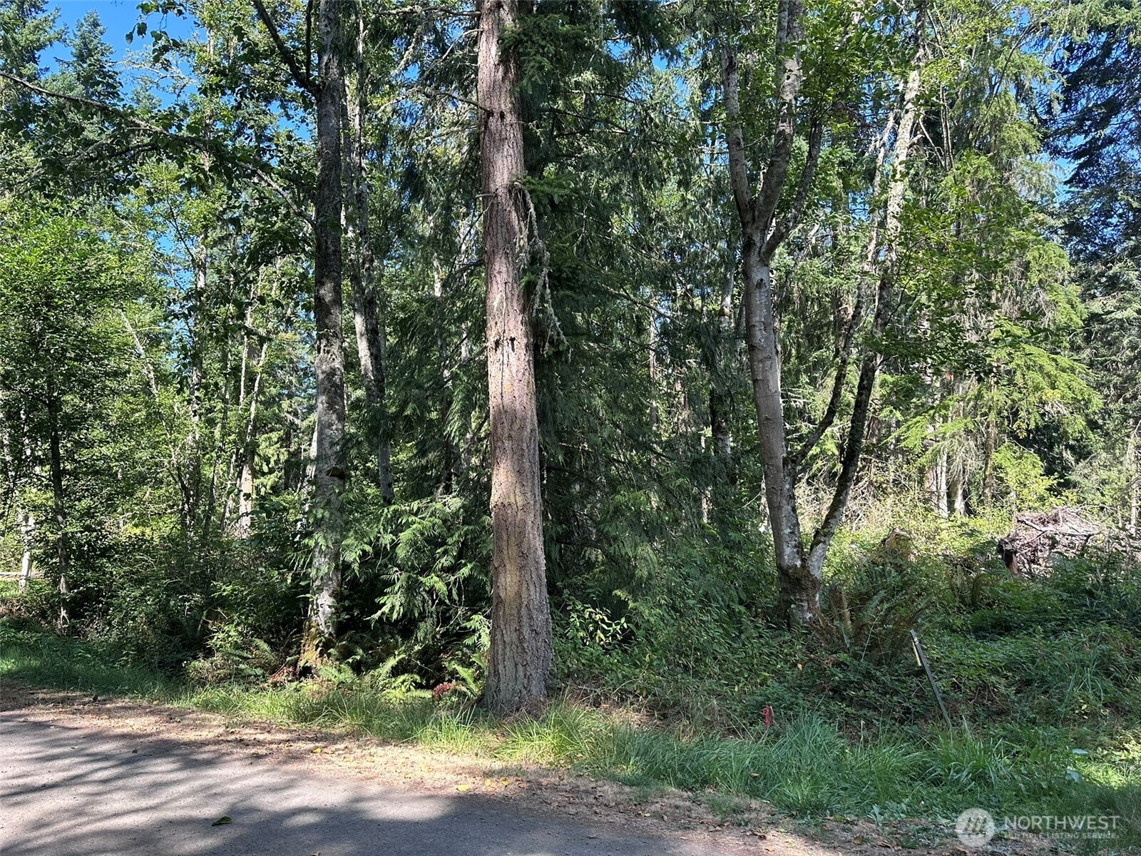 144 Took A Look Lane, Sequim, WA 98382