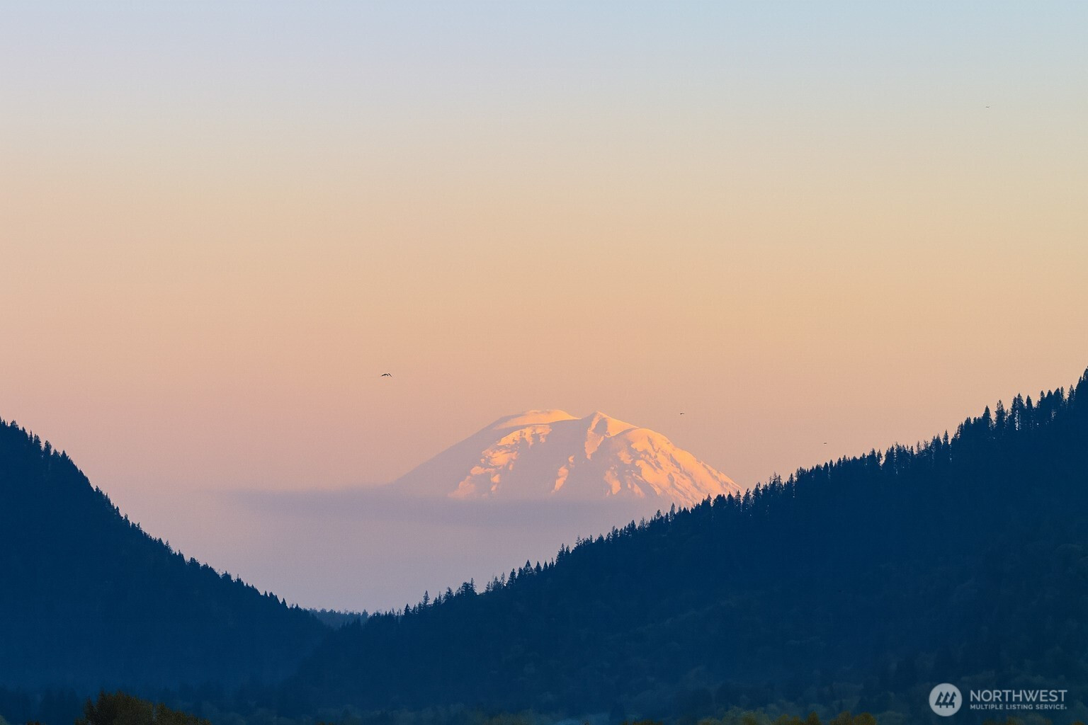 4242 213th Place SE, Issaquah, WA 98029