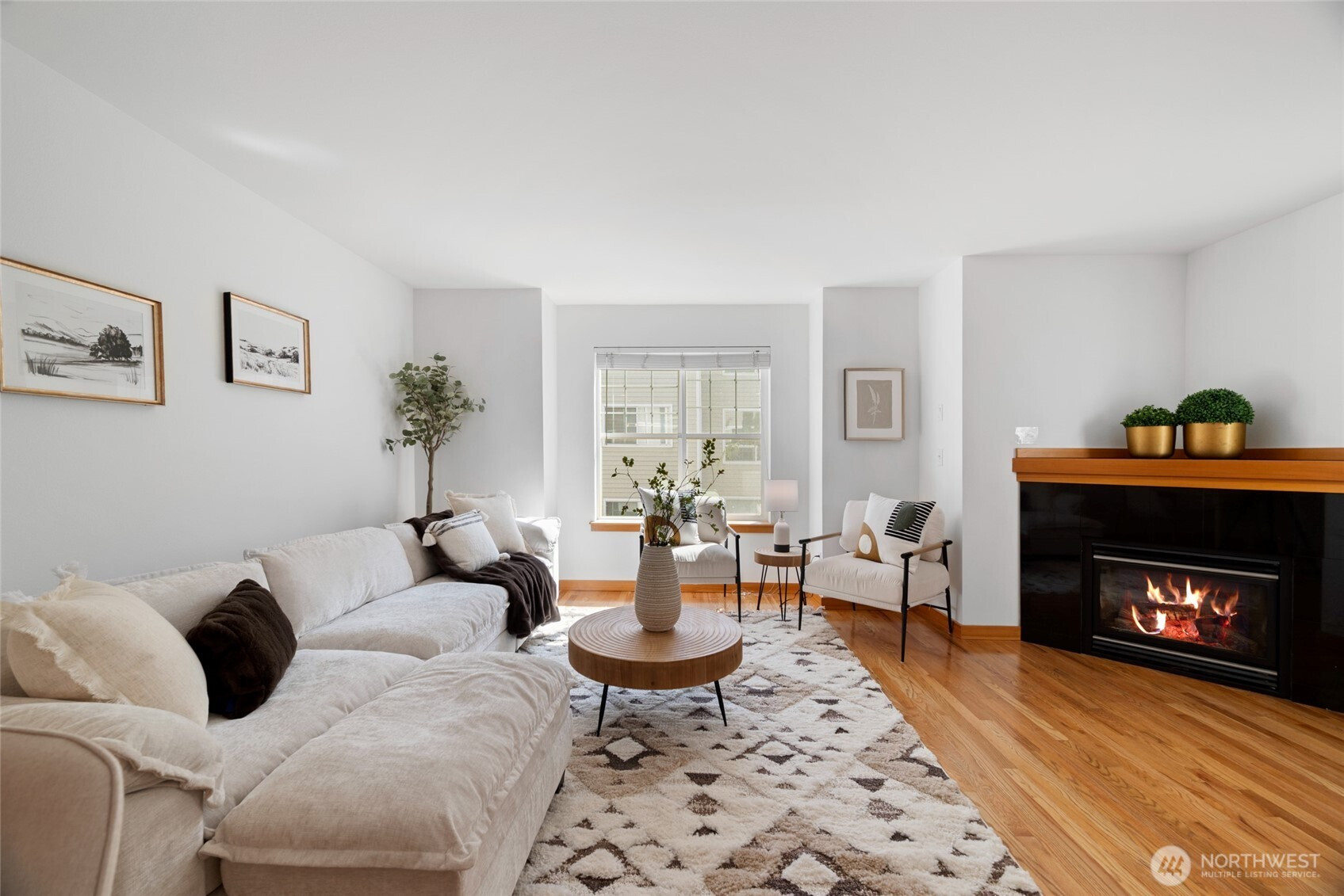 1123 N 94th Street, Seattle, WA 98103