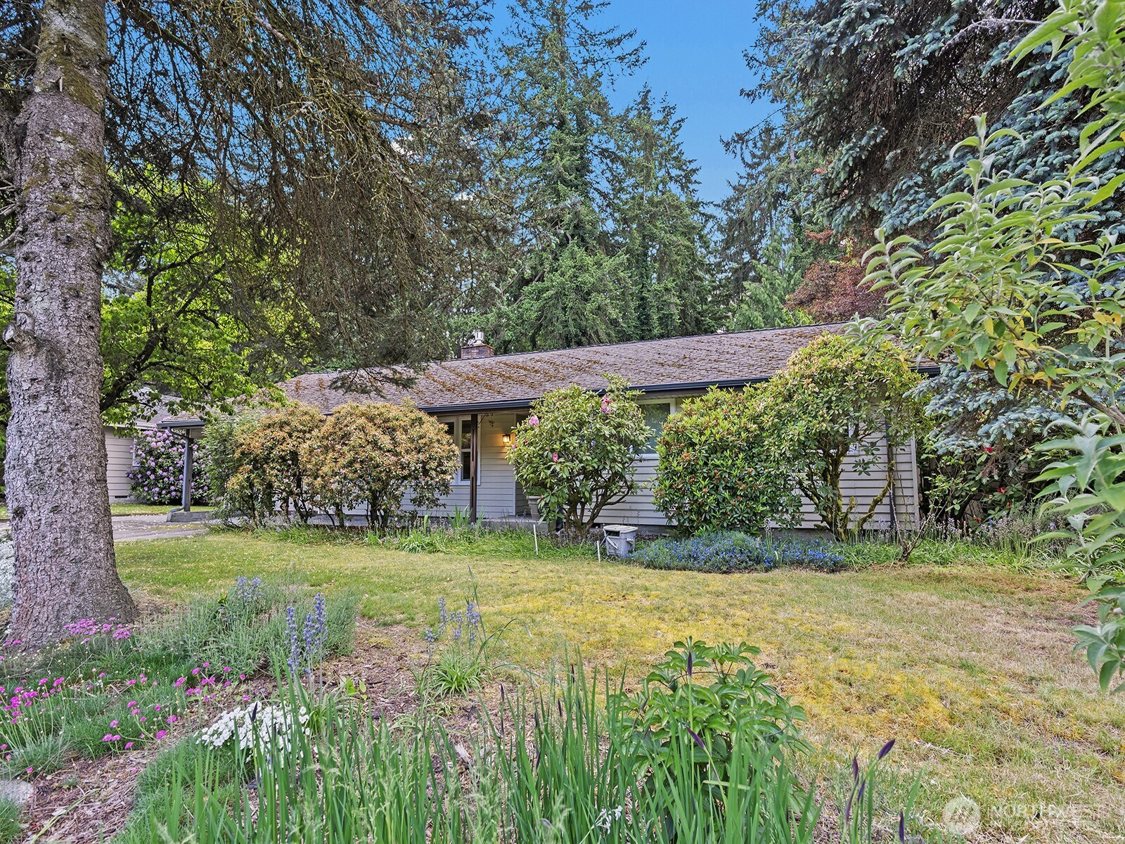 5059 119th Avenue SE, Bellevue, WA 98006