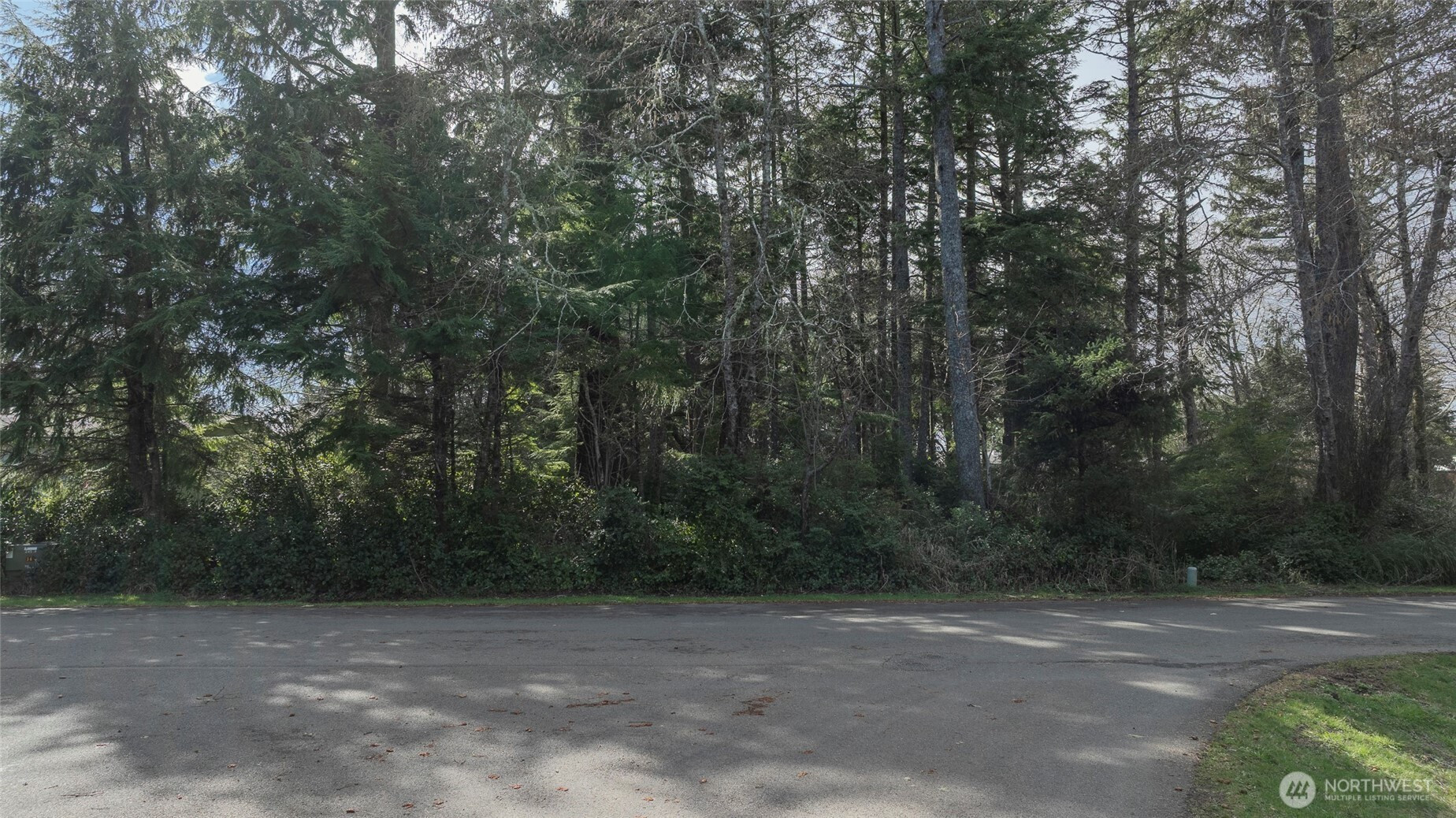 699 Chenois Avenue NE, Ocean Shores, WA 98569