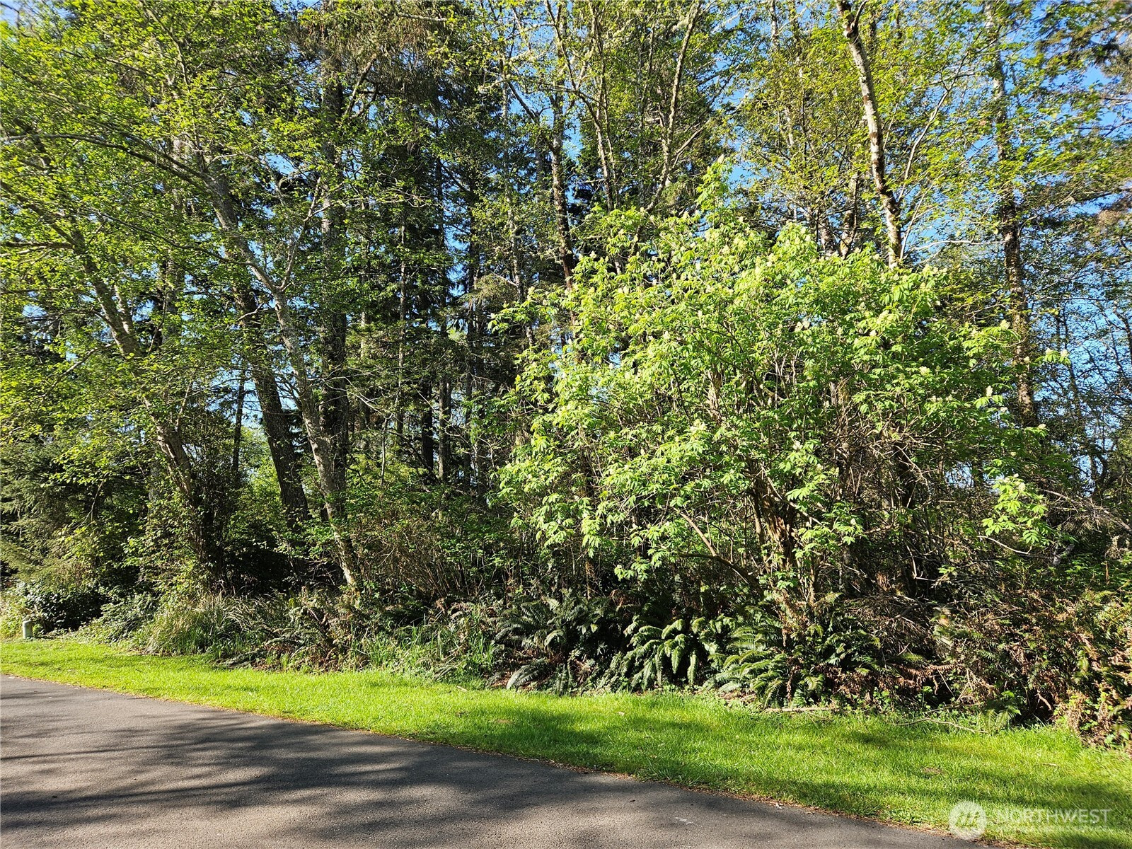 701 Chenois Avenue NE, Ocean Shores, WA 98569