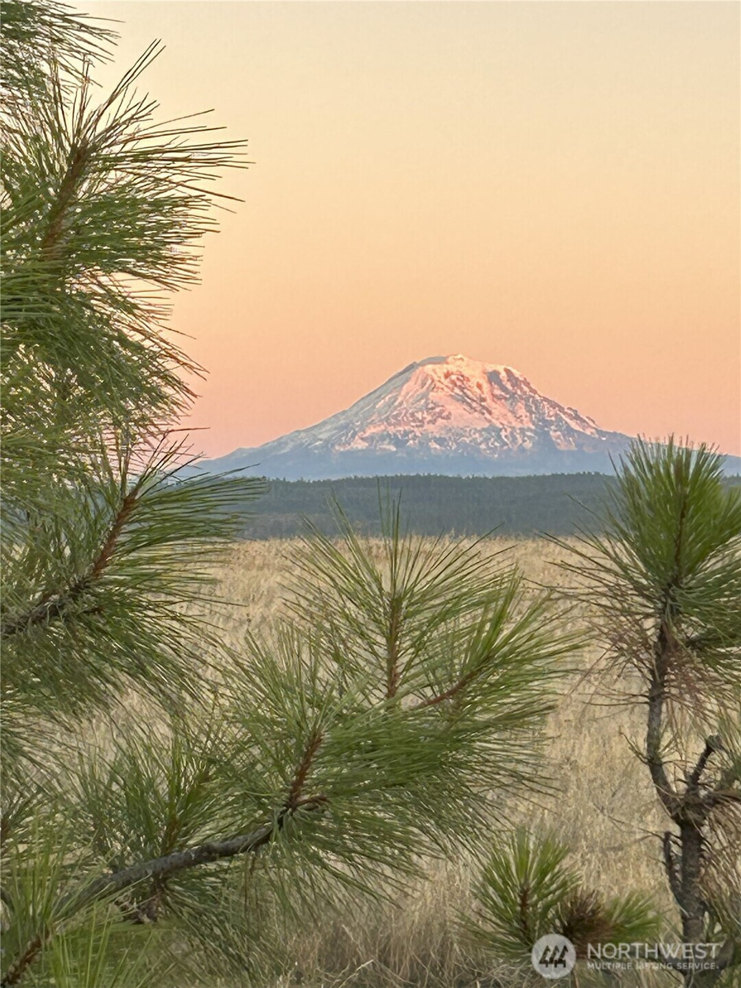 0 Redtail Road, Lyle, WA 98635