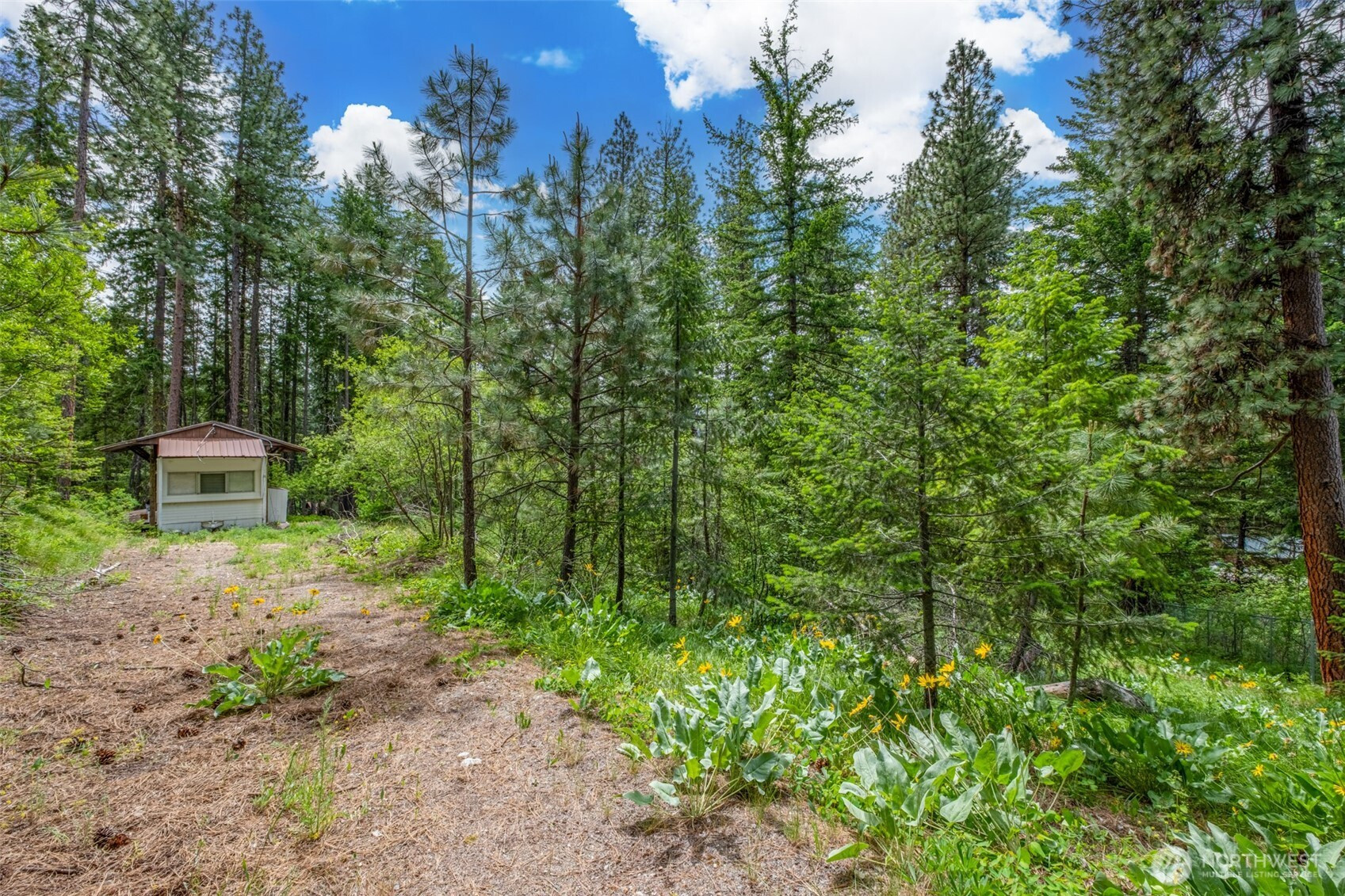 22124 Appaloosa Lane, Leavenworth, WA 98826