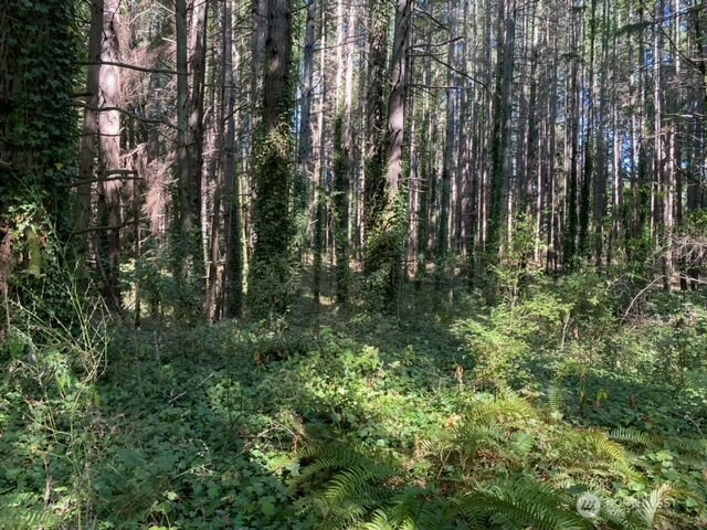 11000 xx State HWY 305 NE, Bainbridge Island, WA 98110