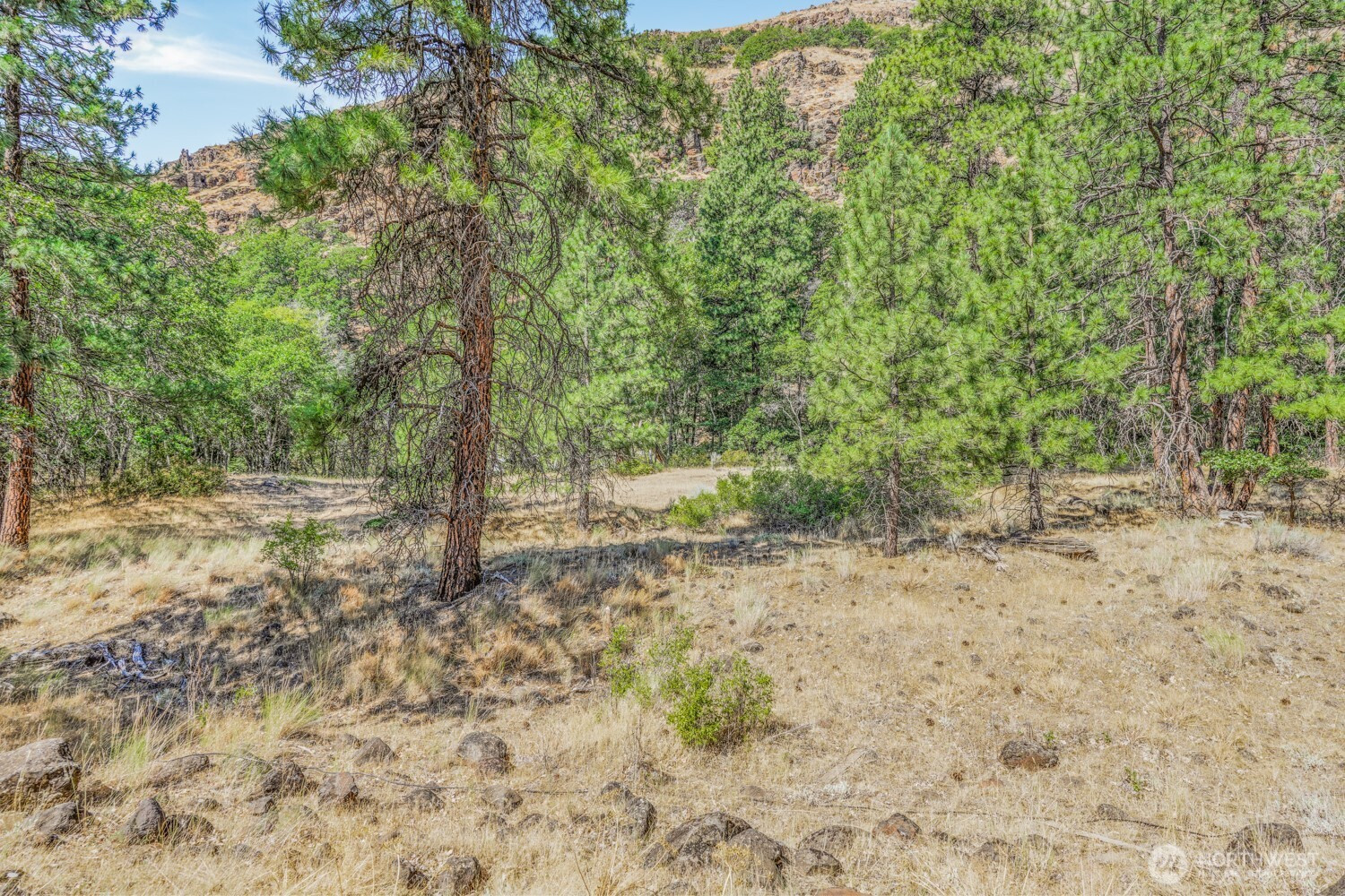 0 04181100000700, Goldendale, WA 98620