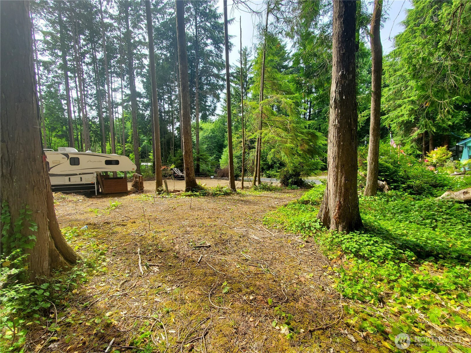 44 Robin Lane, Pacific Beach, WA 98571