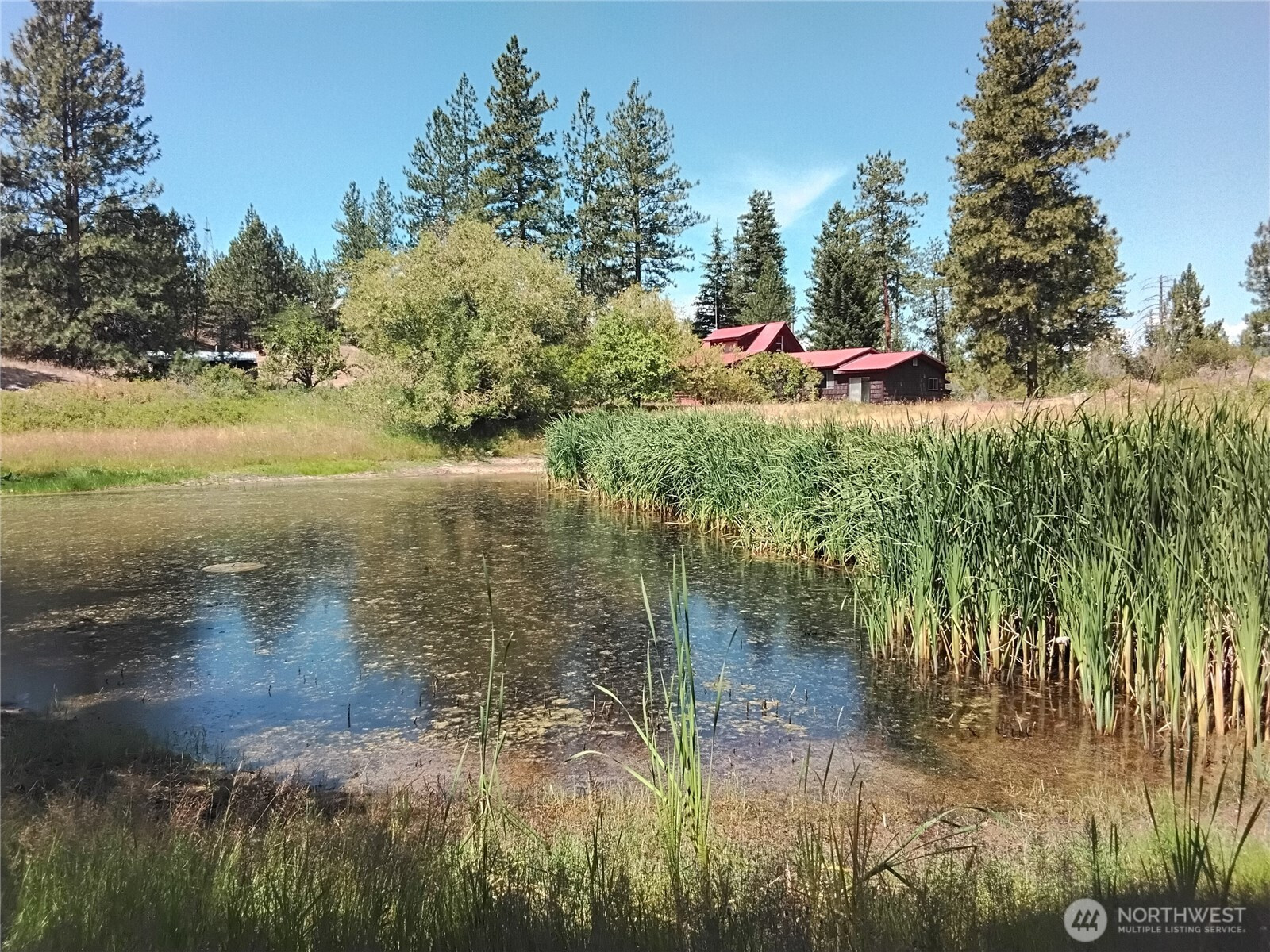 41 Balsam Drive, Tonasket, WA 98855