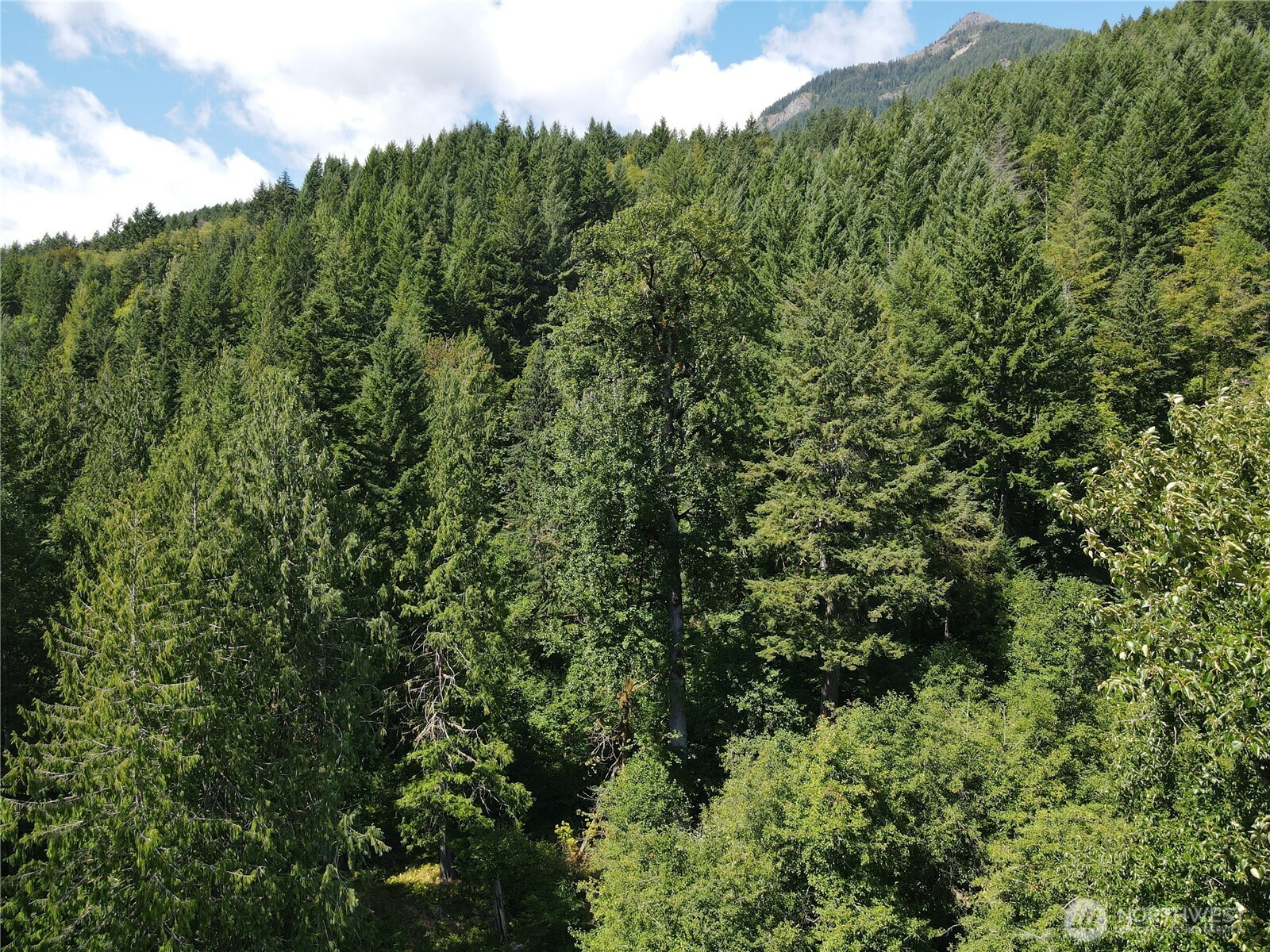 0 Cannon Road, White Pass, WA 98937