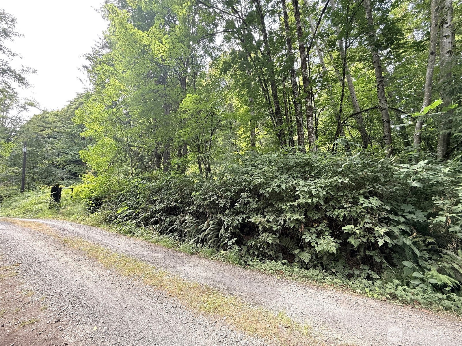 18417 Newton Road, Mill Creek, WA 98012