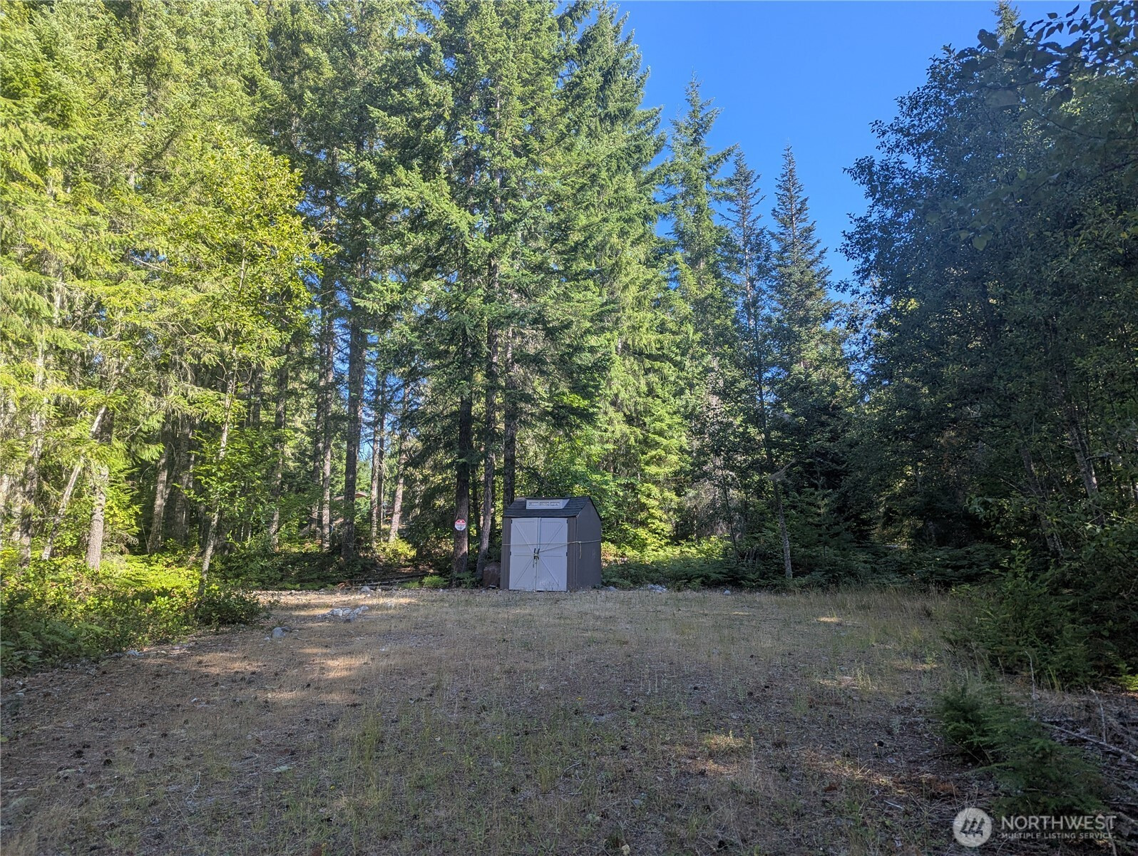 30 Nymark Drive, Cougar, WA 98616